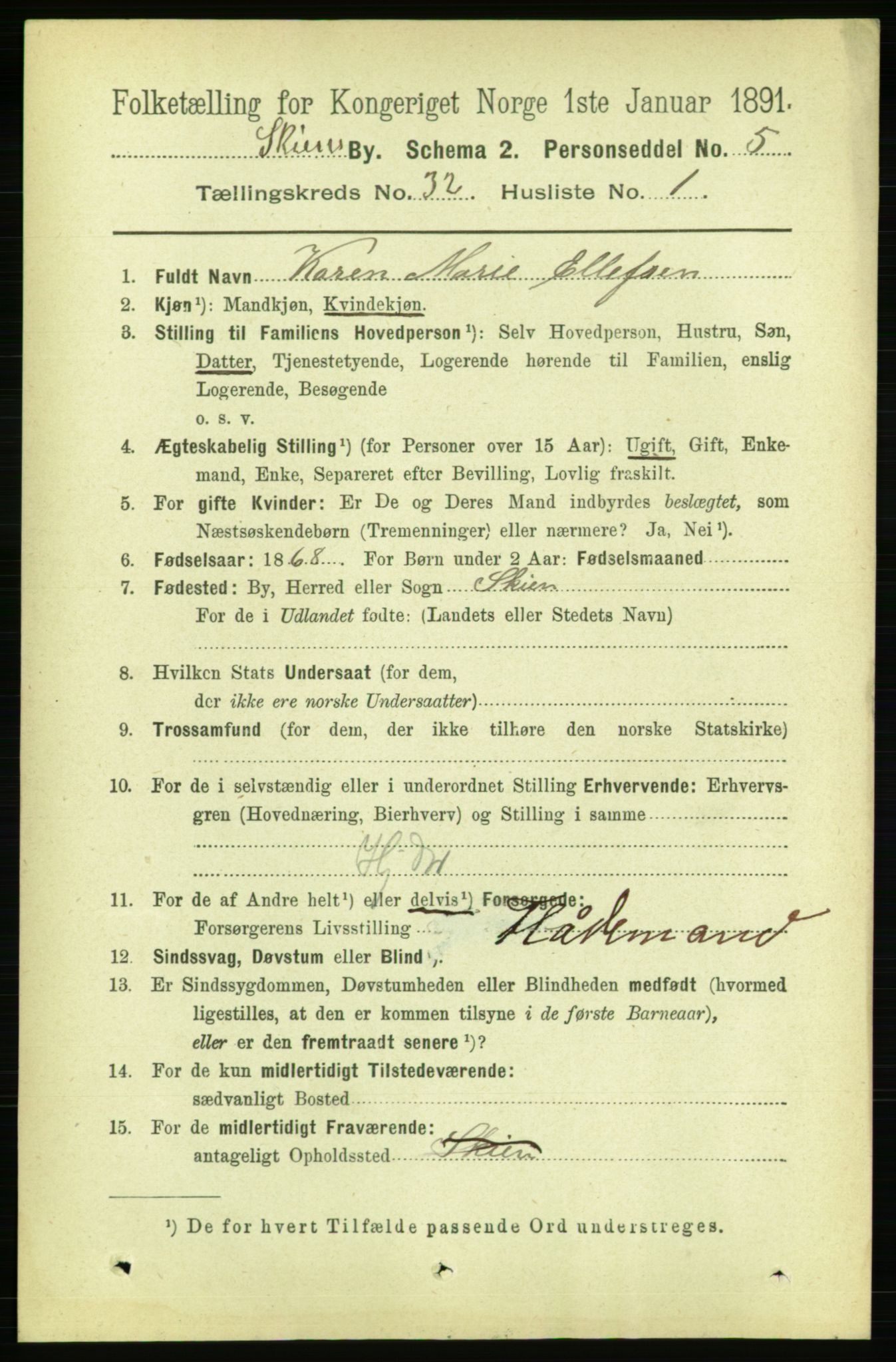 RA, 1891 census for 0806 Skien, 1891, p. 7212