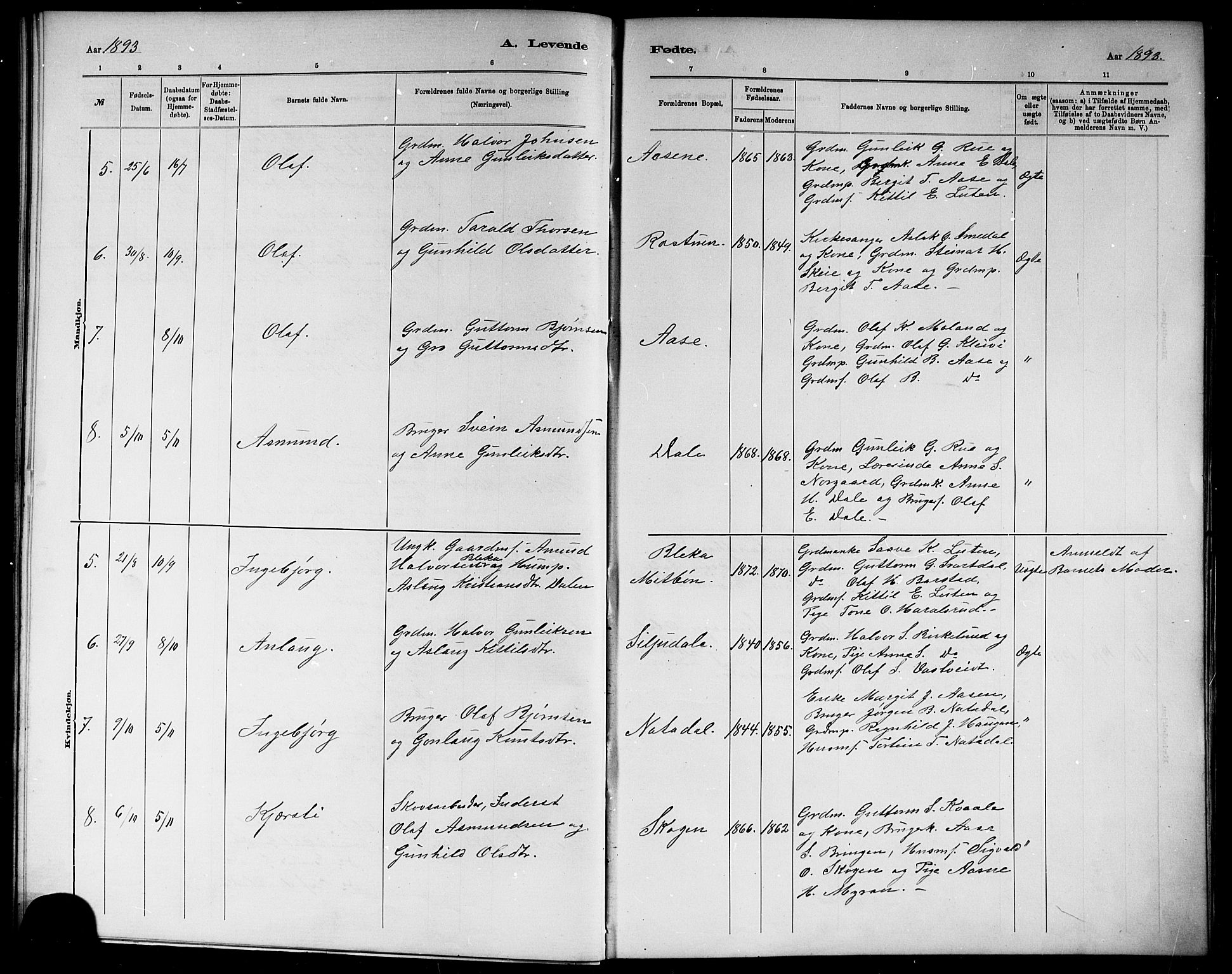 Seljord kirkebøker, SAKO/A-20/G/Gb/L0004: Parish register (copy) no. II 4, 1885-1921