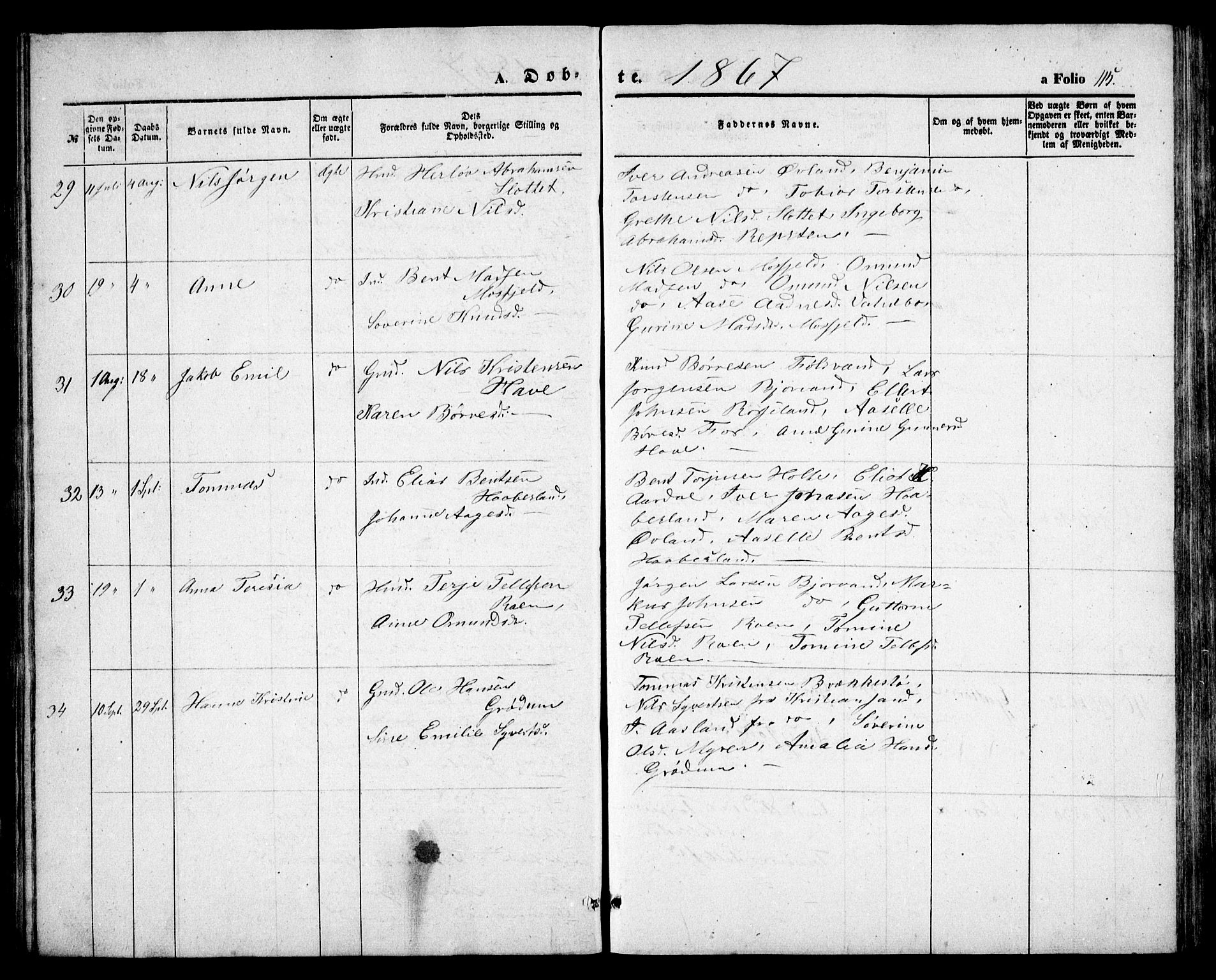 Birkenes sokneprestkontor, AV/SAK-1111-0004/F/Fb/L0002: Parish register (copy) no. B 2, 1849-1876, p. 115