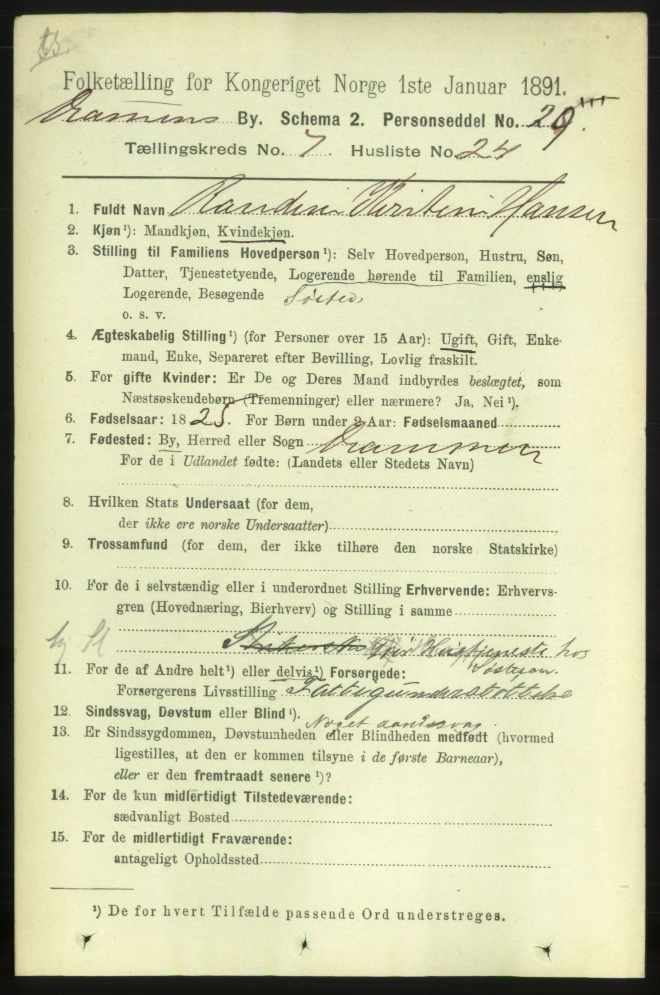 RA, 1891 census for 0602 Drammen, 1891, p. 6717