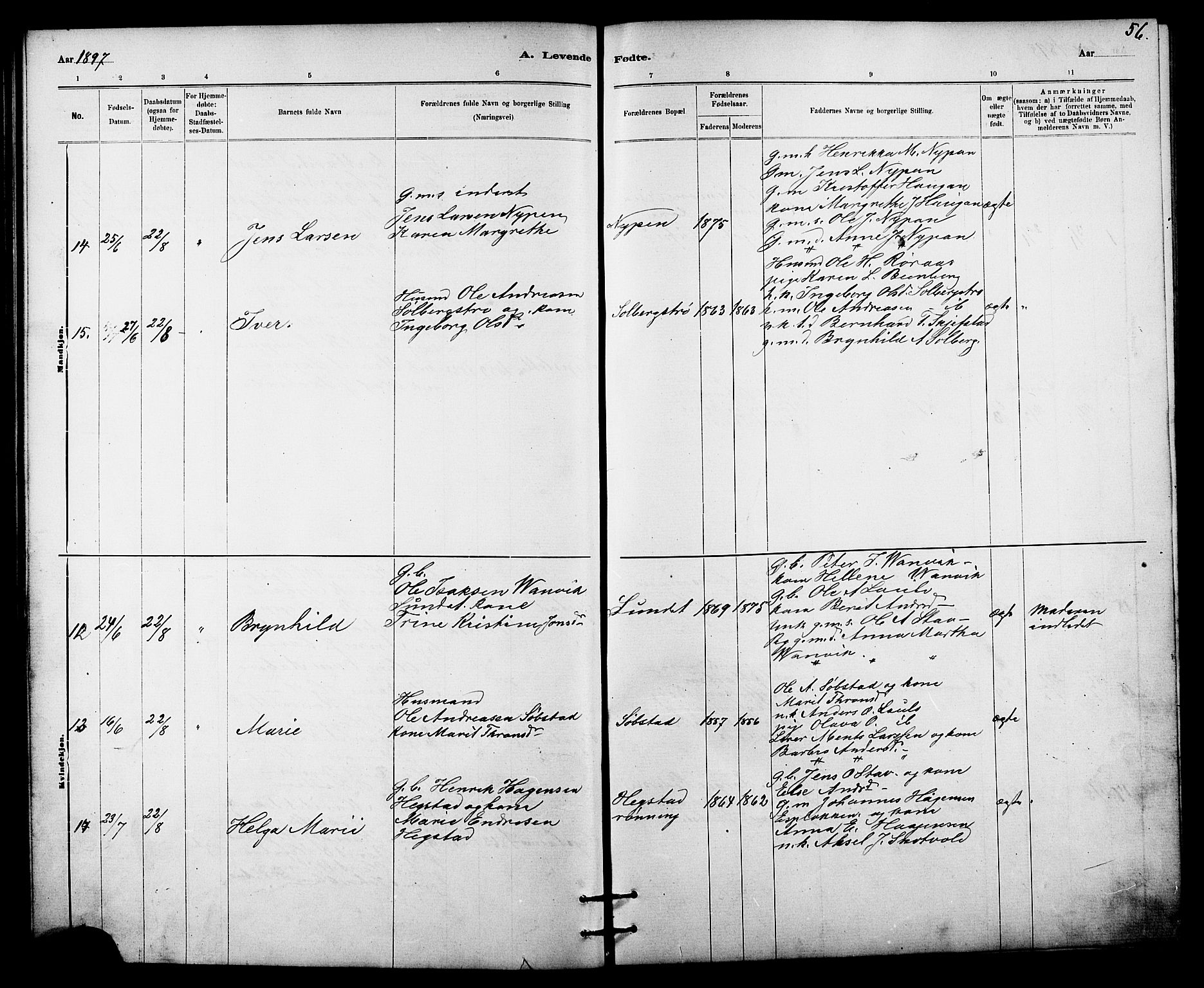 Ministerialprotokoller, klokkerbøker og fødselsregistre - Sør-Trøndelag, SAT/A-1456/613/L0395: Parish register (copy) no. 613C03, 1887-1909, p. 56