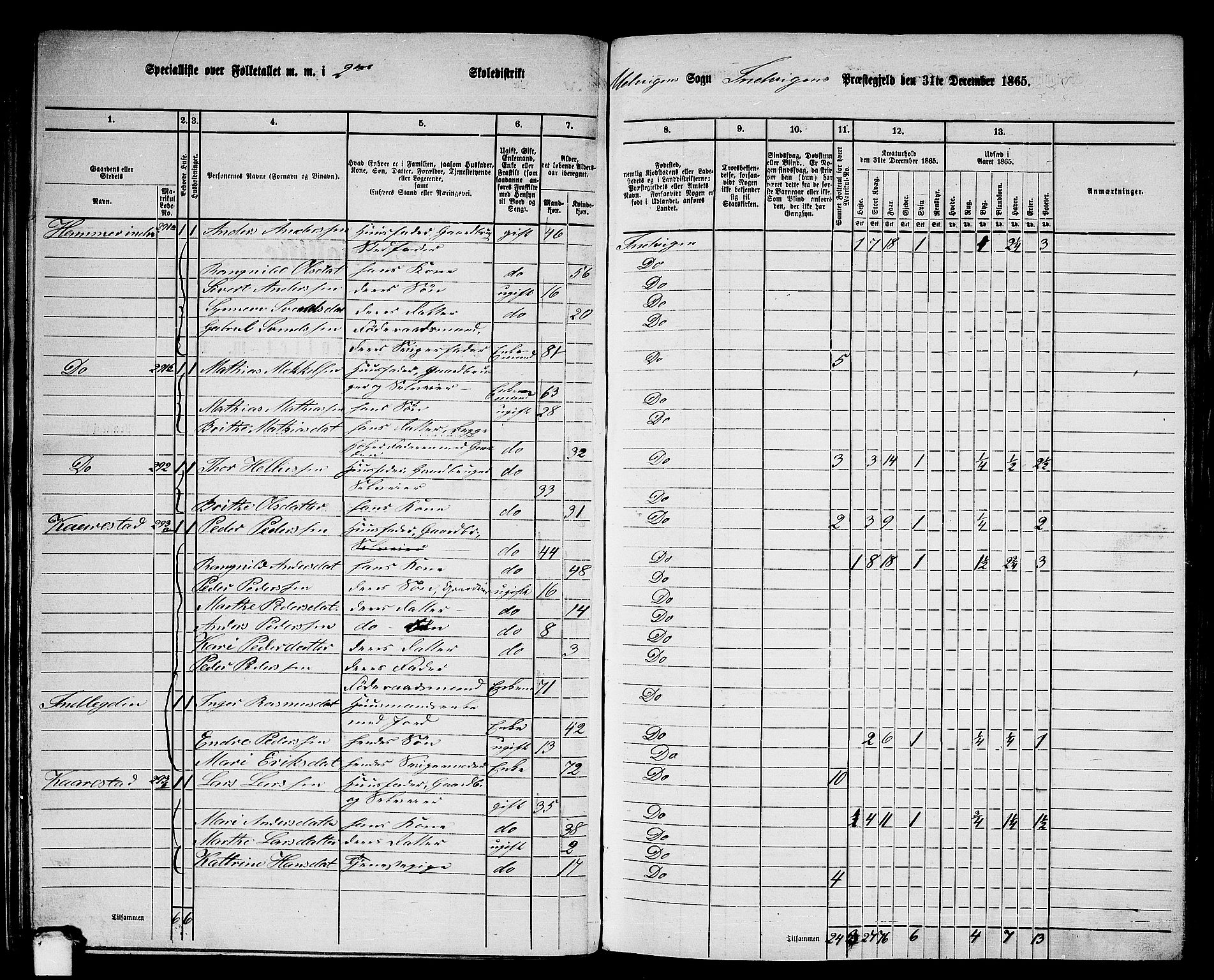 RA, 1865 census for Innvik, 1865, p. 30