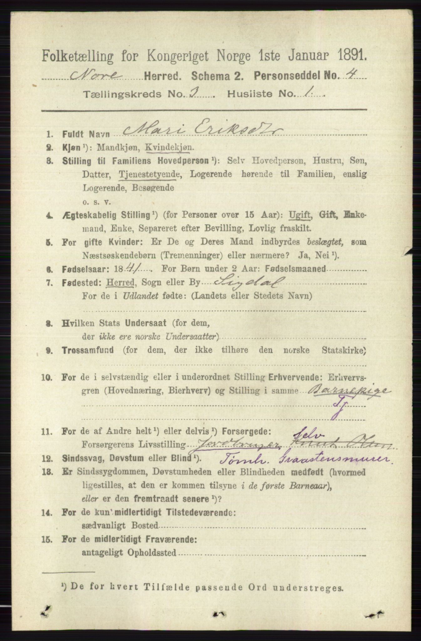 RA, 1891 census for 0633 Nore, 1891, p. 745