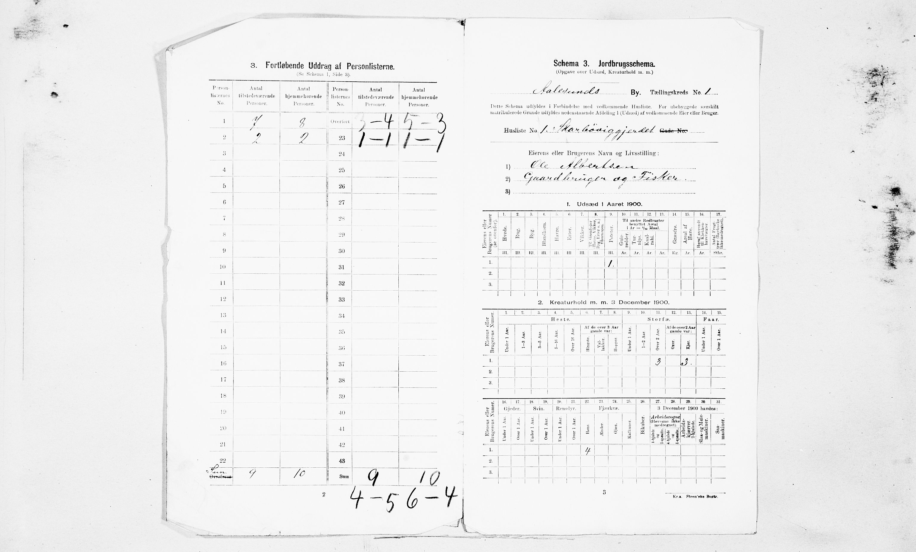 SAT, 1900 census for Ålesund, 1900, p. 54