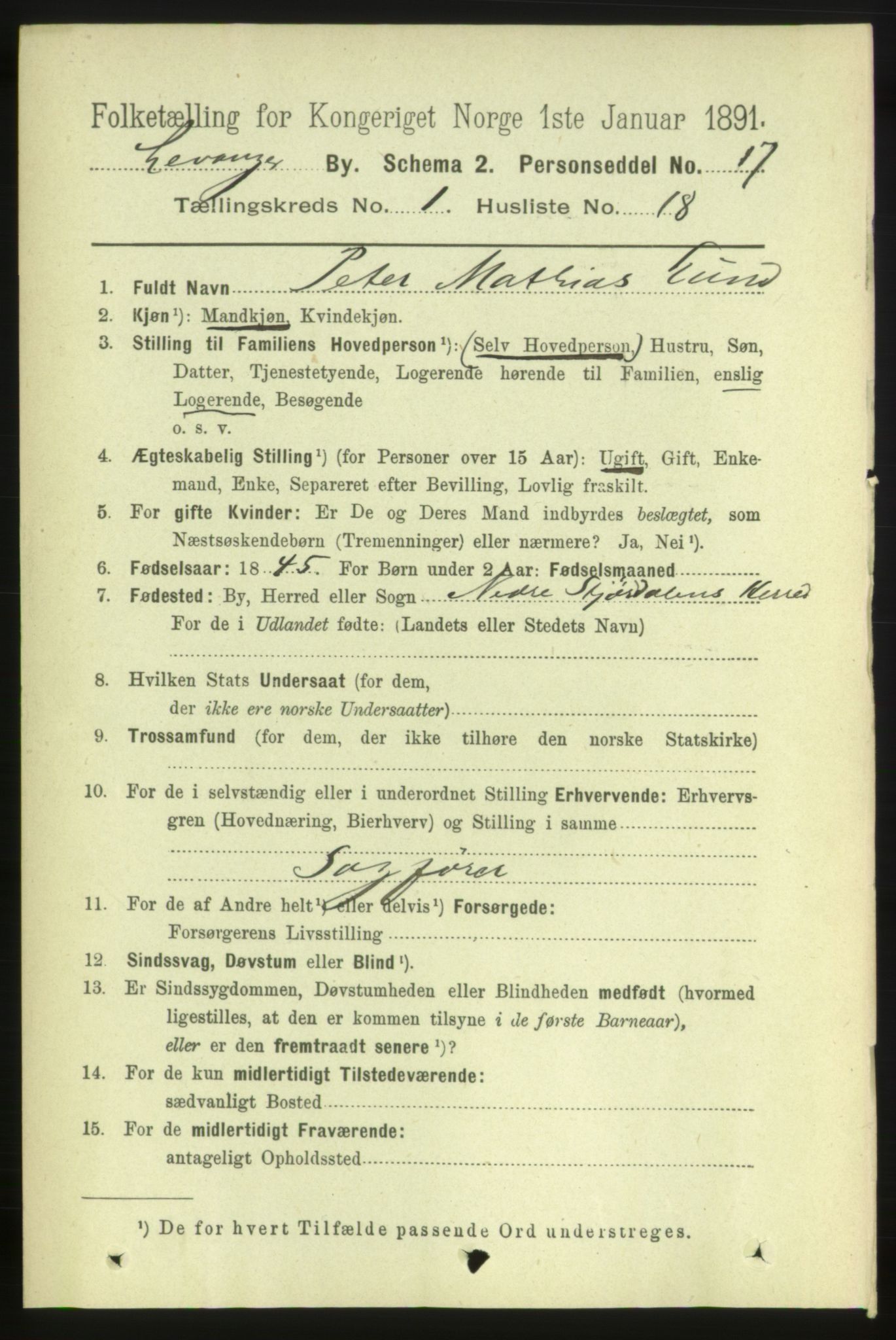 RA, 1891 census for 1701 Levanger, 1891, p. 266