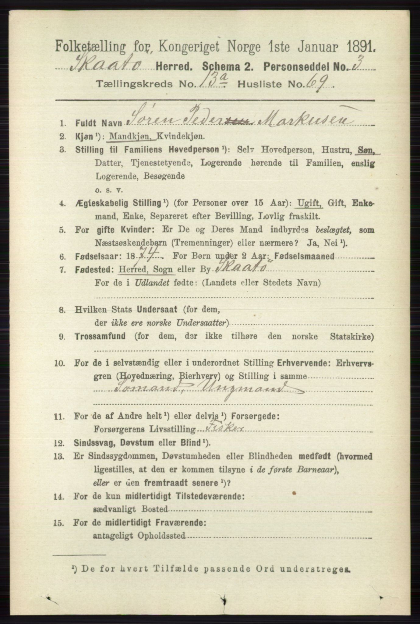 RA, 1891 census for 0815 Skåtøy, 1891, p. 4808