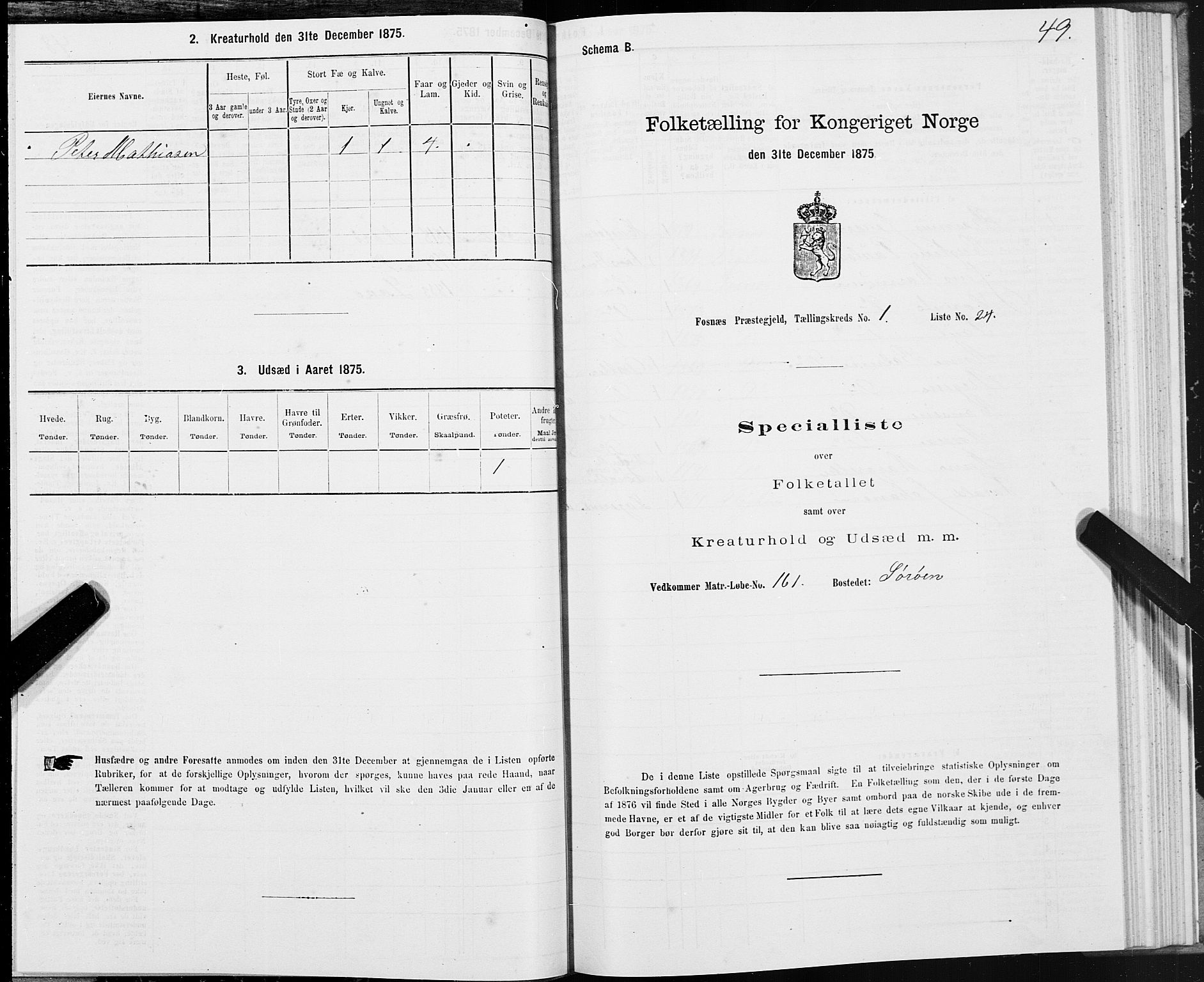SAT, 1875 census for 1748P Fosnes, 1875, p. 1049