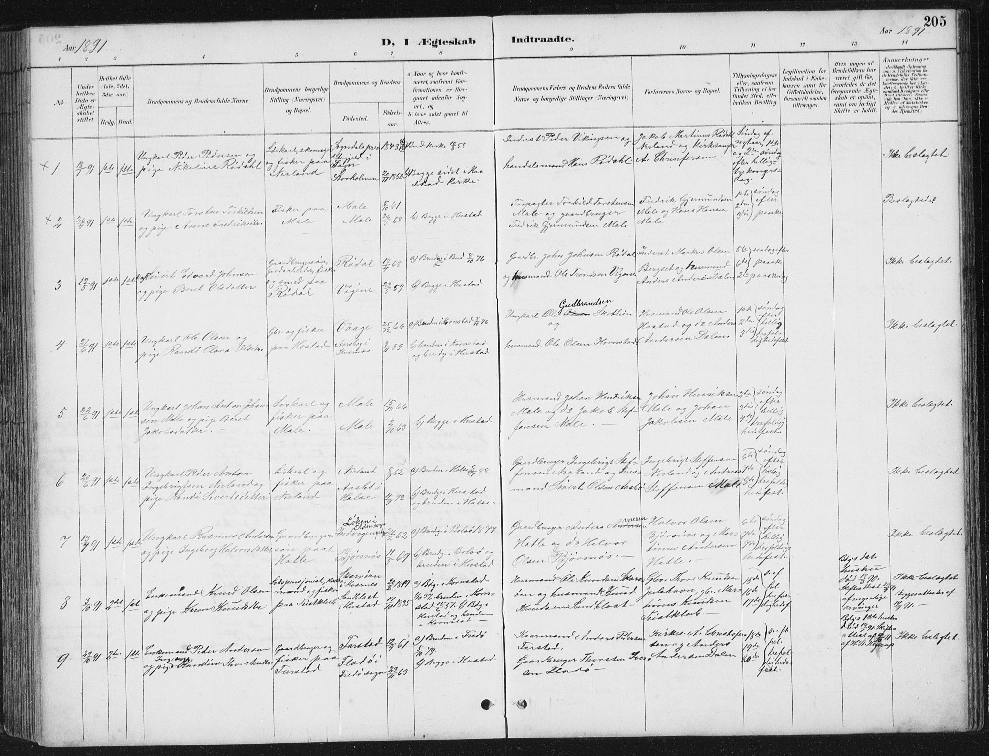 Ministerialprotokoller, klokkerbøker og fødselsregistre - Møre og Romsdal, SAT/A-1454/567/L0783: Parish register (copy) no. 567C03, 1887-1903, p. 205