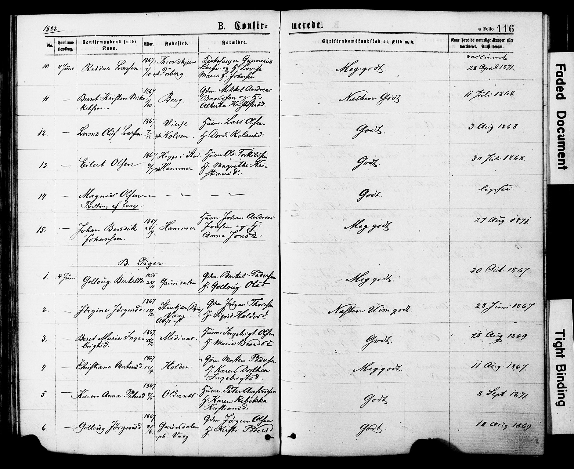 Ministerialprotokoller, klokkerbøker og fødselsregistre - Nord-Trøndelag, AV/SAT-A-1458/749/L0473: Parish register (official) no. 749A07, 1873-1887, p. 116