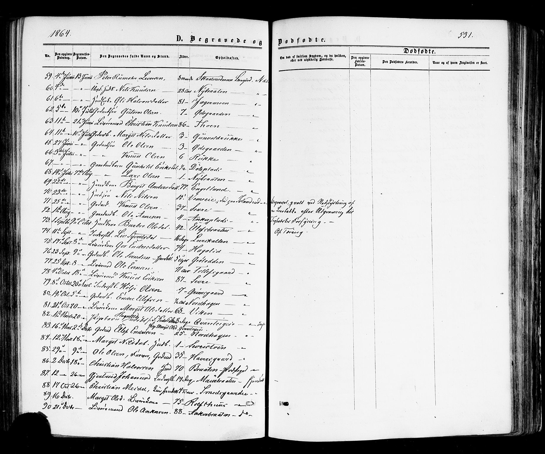 Nes kirkebøker, AV/SAKO-A-236/F/Fa/L0010: Parish register (official) no. 10, 1864-1880, p. 531