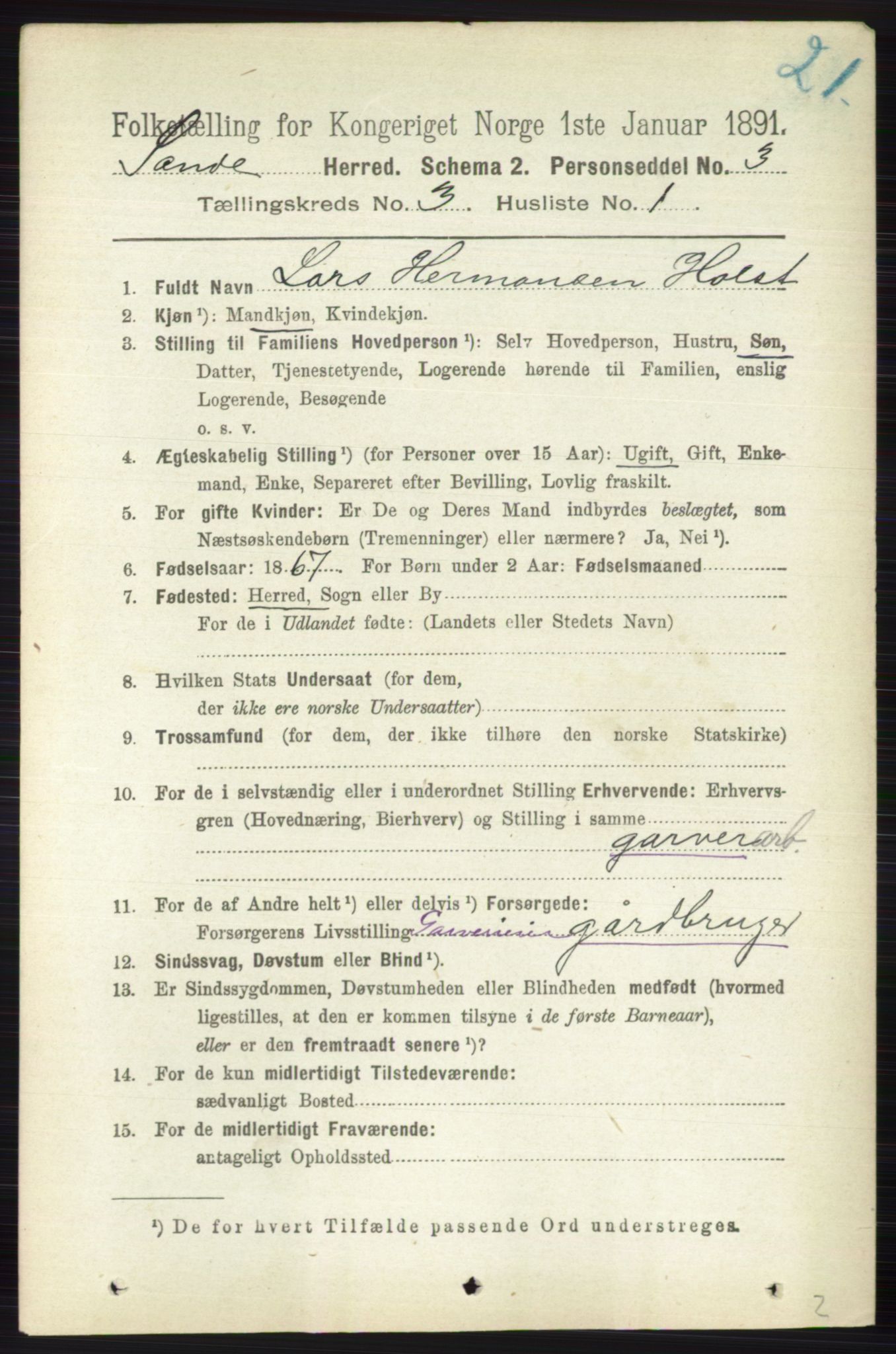 RA, 1891 census for 0713 Sande, 1891, p. 941