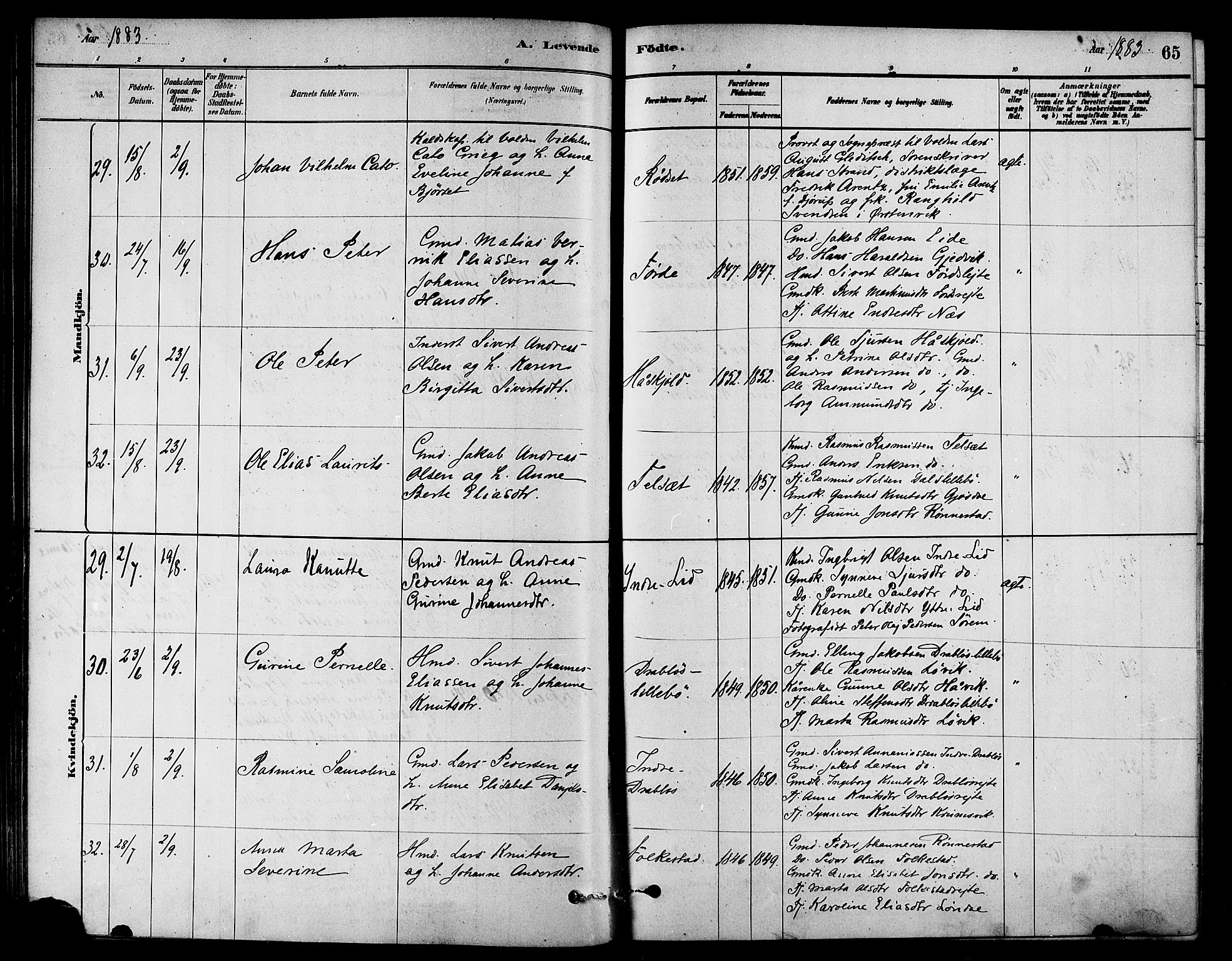 Ministerialprotokoller, klokkerbøker og fødselsregistre - Møre og Romsdal, AV/SAT-A-1454/511/L0141: Parish register (official) no. 511A08, 1878-1890, p. 65