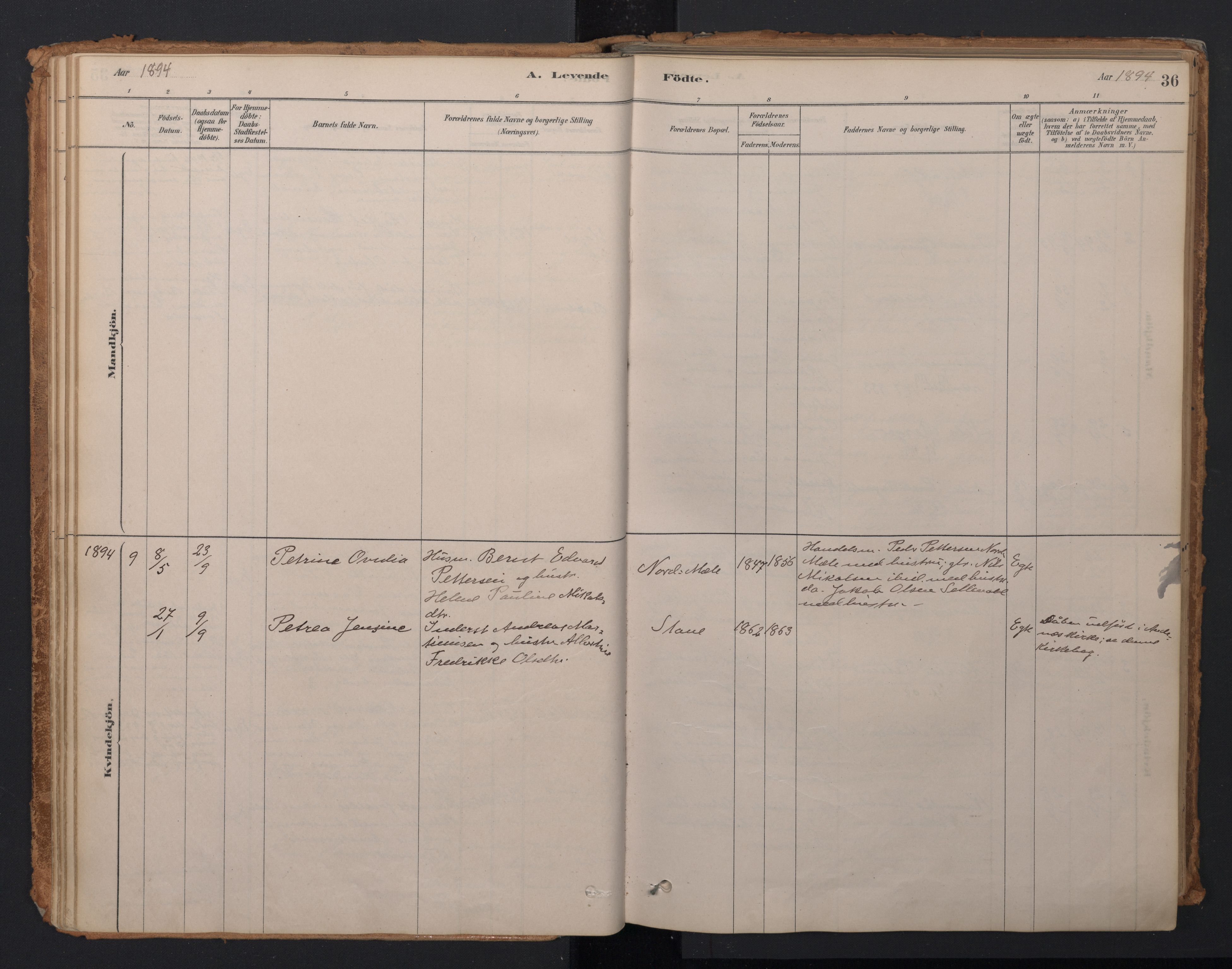 Ministerialprotokoller, klokkerbøker og fødselsregistre - Nordland, AV/SAT-A-1459/897/L1399: Parish register (official) no. 897A06, 1881-1896, p. 36