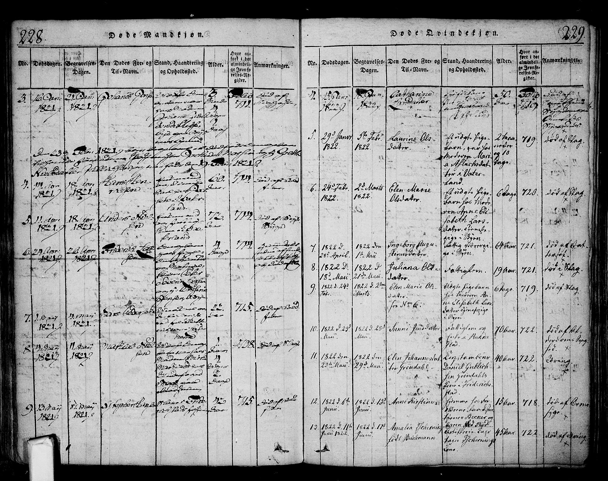 Fredrikstad prestekontor Kirkebøker, SAO/A-11082/F/Fa/L0004: Parish register (official) no. 4, 1816-1834, p. 228-229