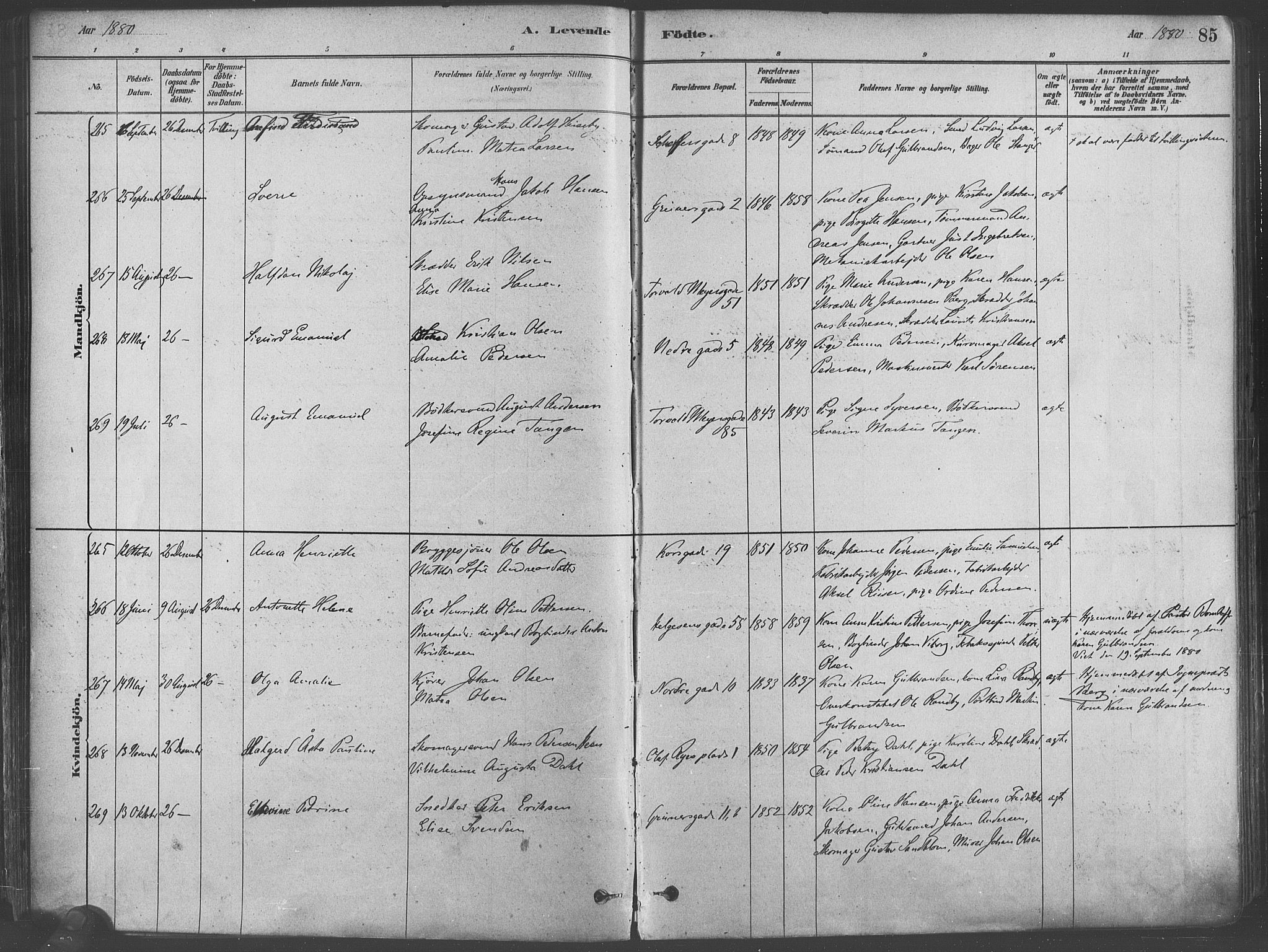 Paulus prestekontor Kirkebøker, AV/SAO-A-10871/F/Fa/L0003: Parish register (official) no. 3, 1879-1887, p. 85