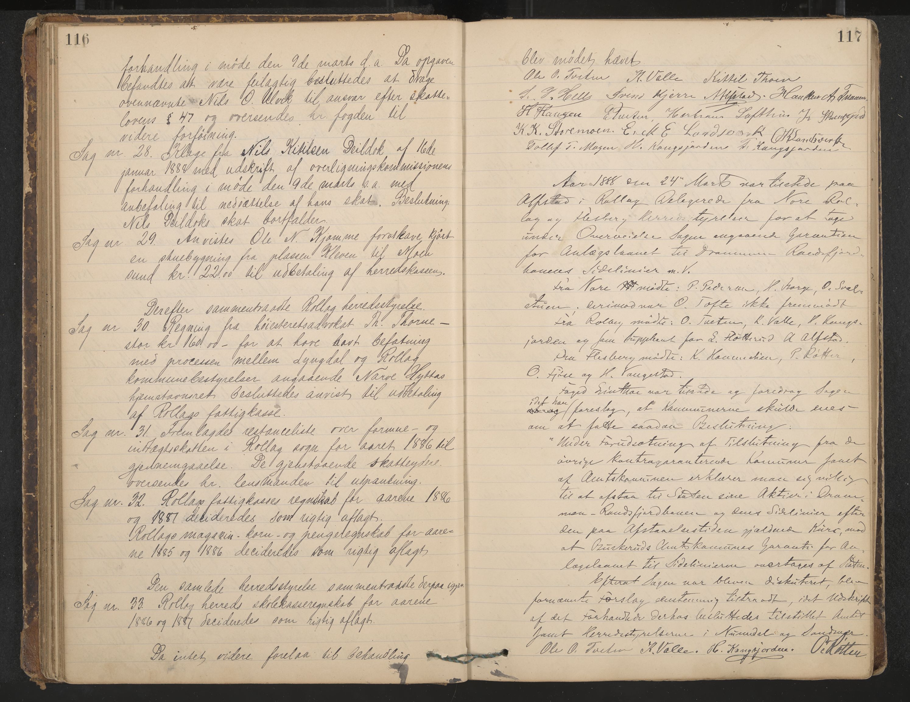 Rollag formannskap og sentraladministrasjon, IKAK/0632021-2/A/Aa/L0003: Møtebok, 1884-1897, p. 116-117