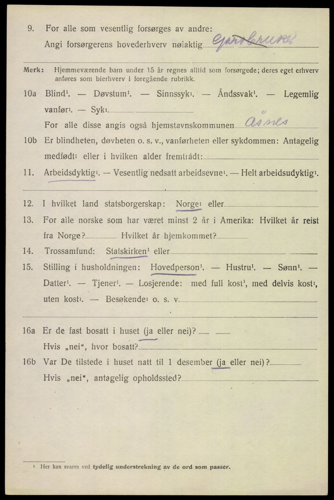 SAH, 1920 census for Åsnes, 1920, p. 13417