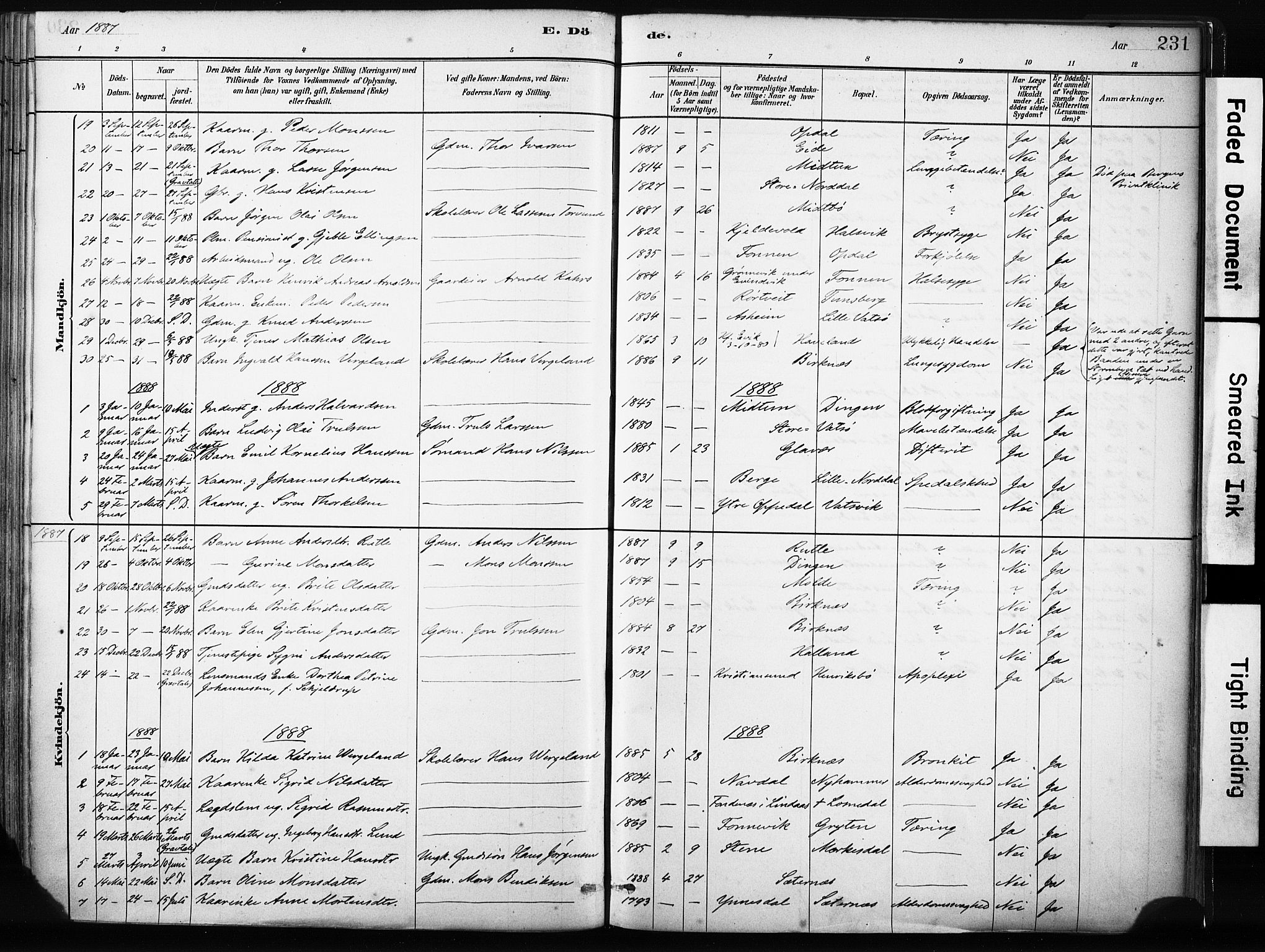 Gulen sokneprestembete, SAB/A-80201/H/Haa/Haab/L0001: Parish register (official) no. B 1, 1881-1905, p. 231