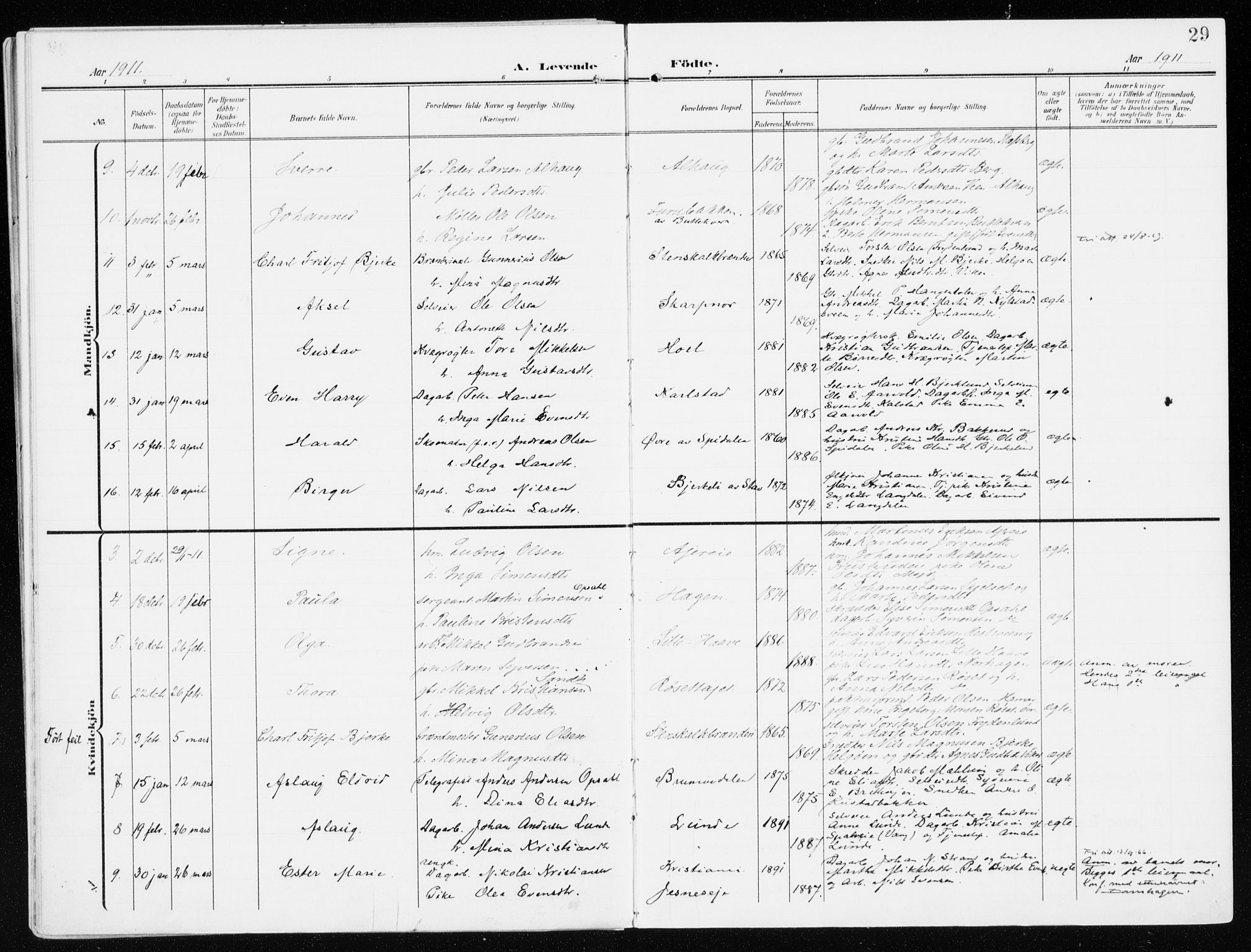 Furnes prestekontor, SAH/PREST-012/K/Ka/L0001: Parish register (official) no. 1, 1907-1935, p. 29