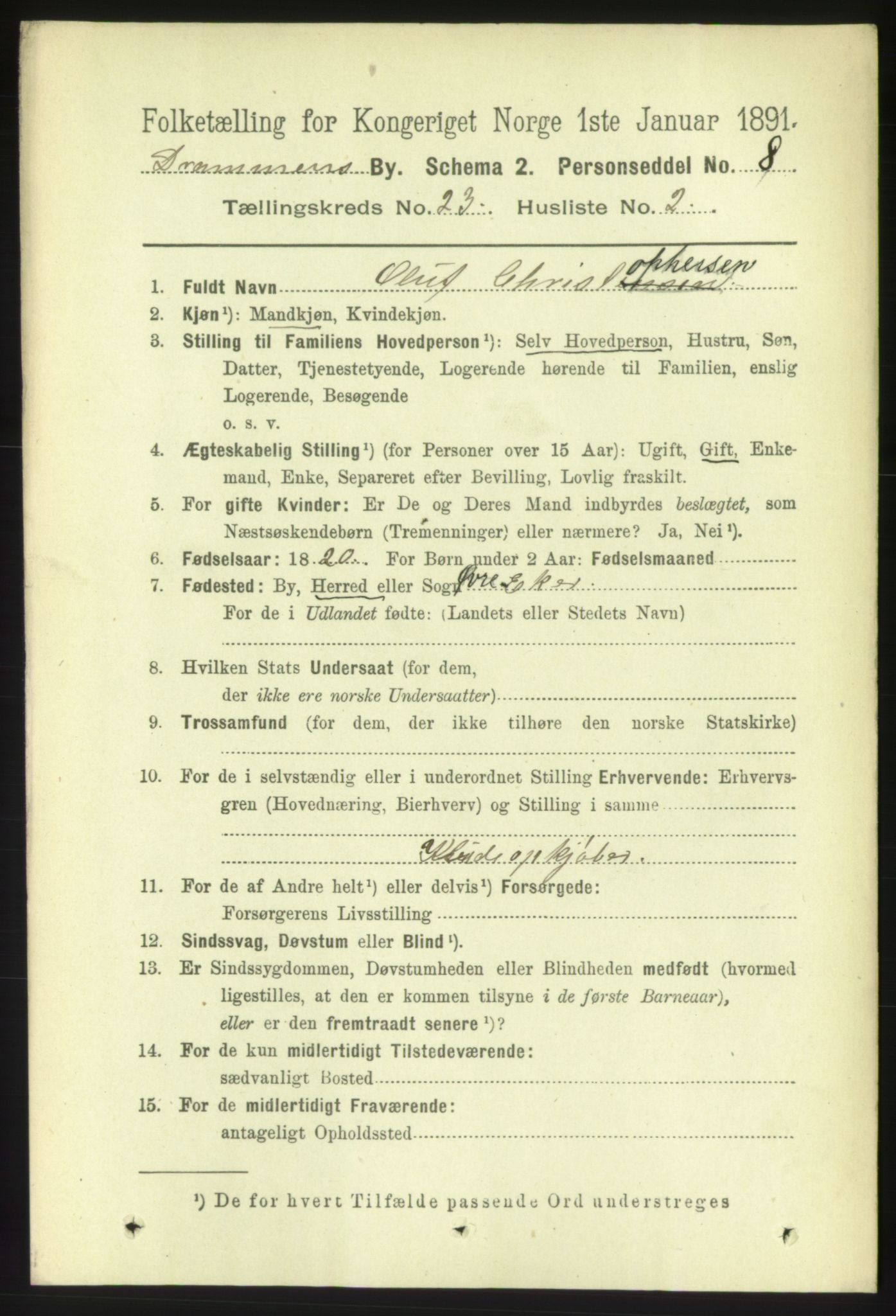 RA, 1891 census for 0602 Drammen, 1891, p. 14068