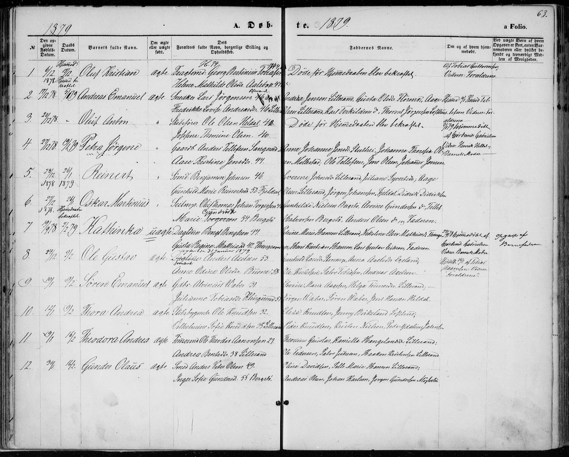 Vestre Moland sokneprestkontor, SAK/1111-0046/F/Fa/Fab/L0008: Parish register (official) no. A 8, 1873-1883, p. 63