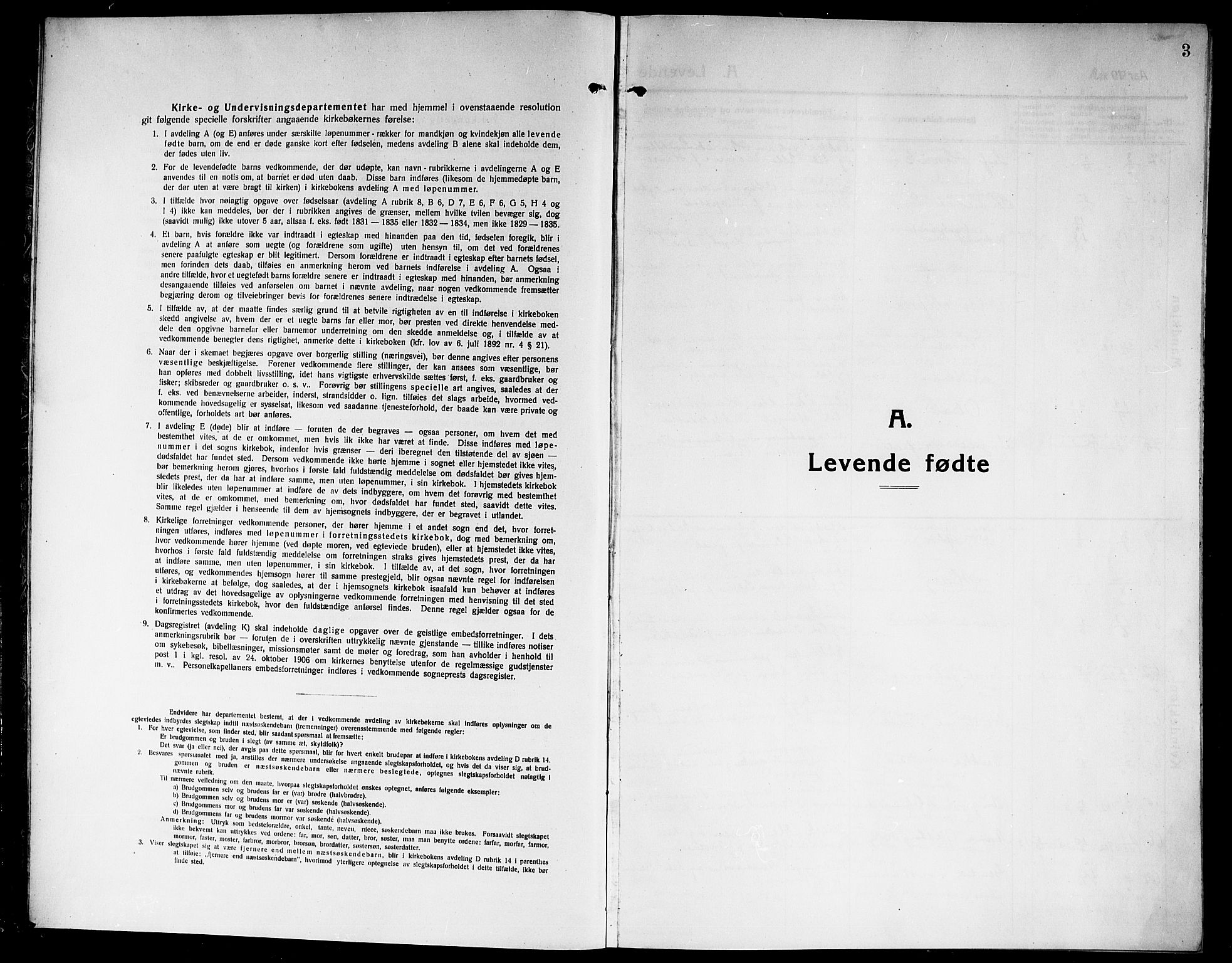 Rjukan kirkebøker, SAKO/A-294/G/Ga/L0002: Parish register (copy) no. 2, 1913-1920, p. 3