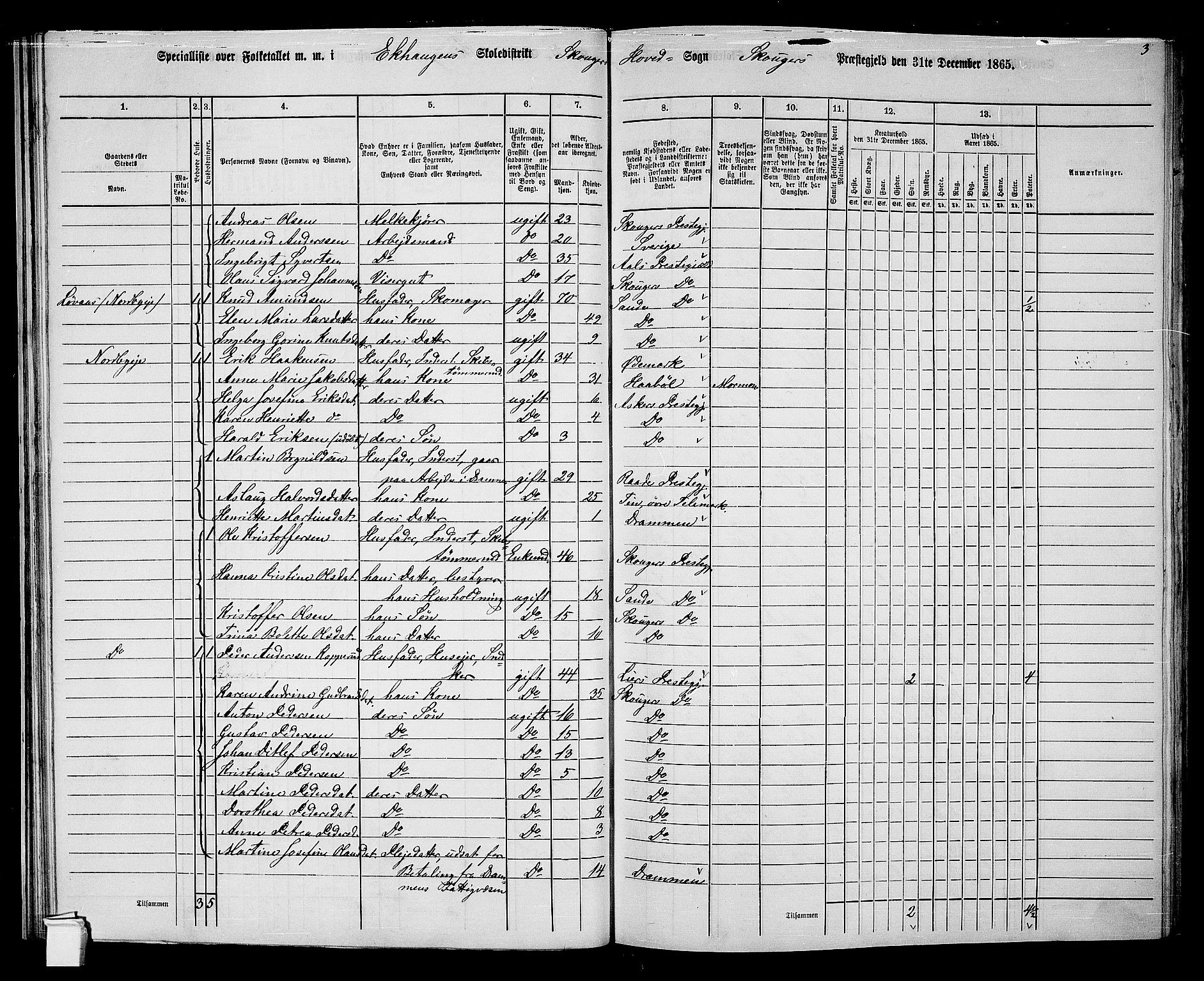 RA, 1865 census for Skoger, 1865, p. 41