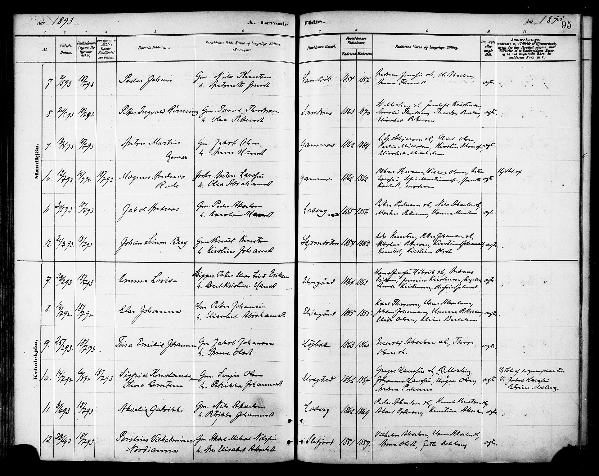 Ministerialprotokoller, klokkerbøker og fødselsregistre - Nordland, SAT/A-1459/866/L0938: Parish register (official) no. 866A01, 1879-1893, p. 95