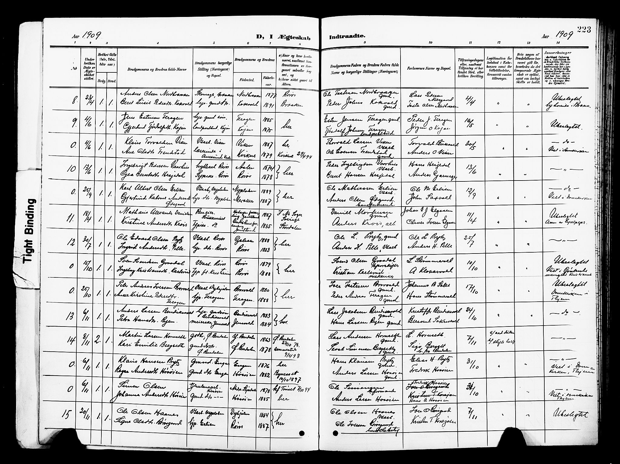 Ministerialprotokoller, klokkerbøker og fødselsregistre - Sør-Trøndelag, SAT/A-1456/681/L0942: Parish register (copy) no. 681C06, 1906-1925, p. 223