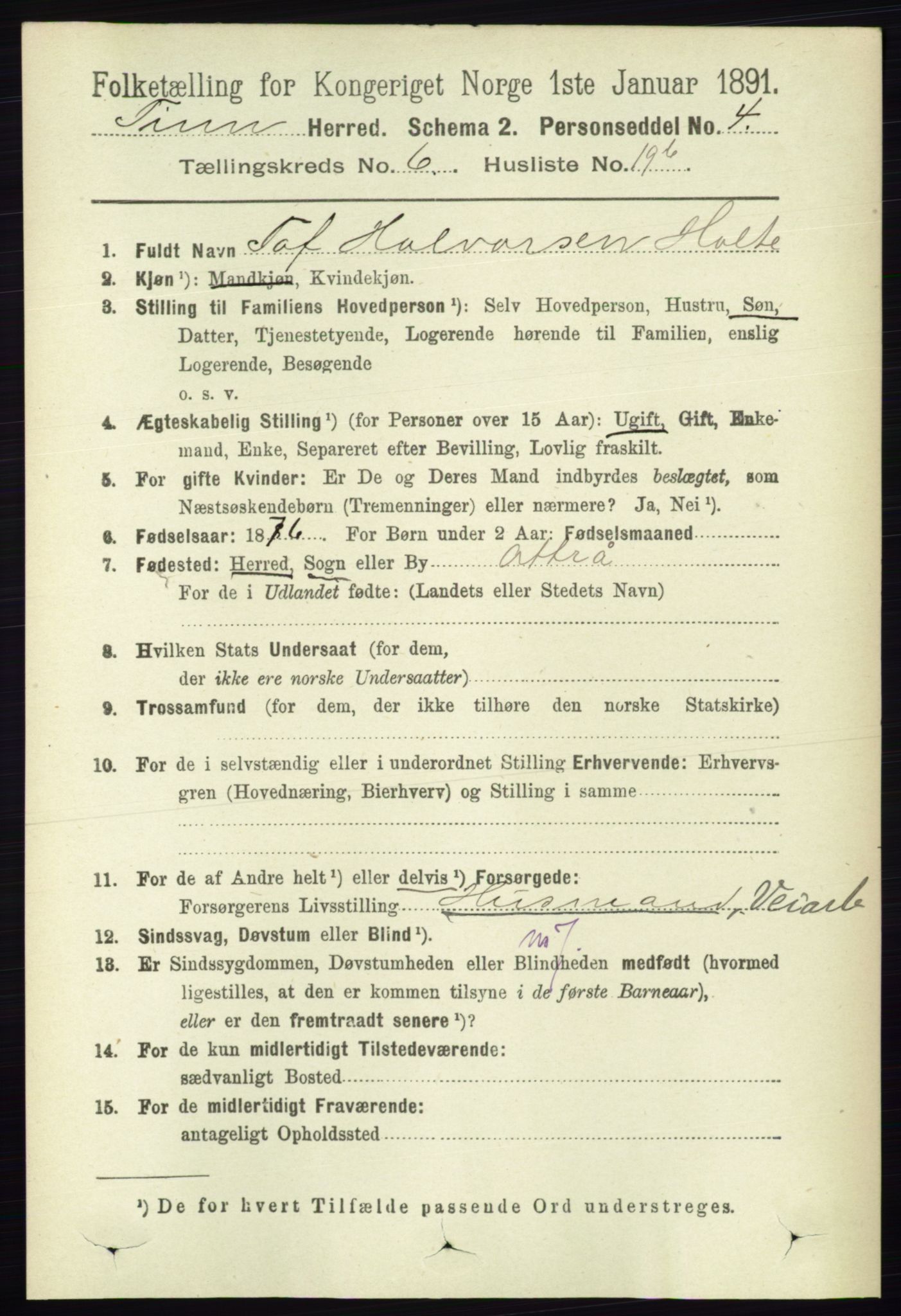 RA, 1891 census for 0826 Tinn, 1891, p. 1339