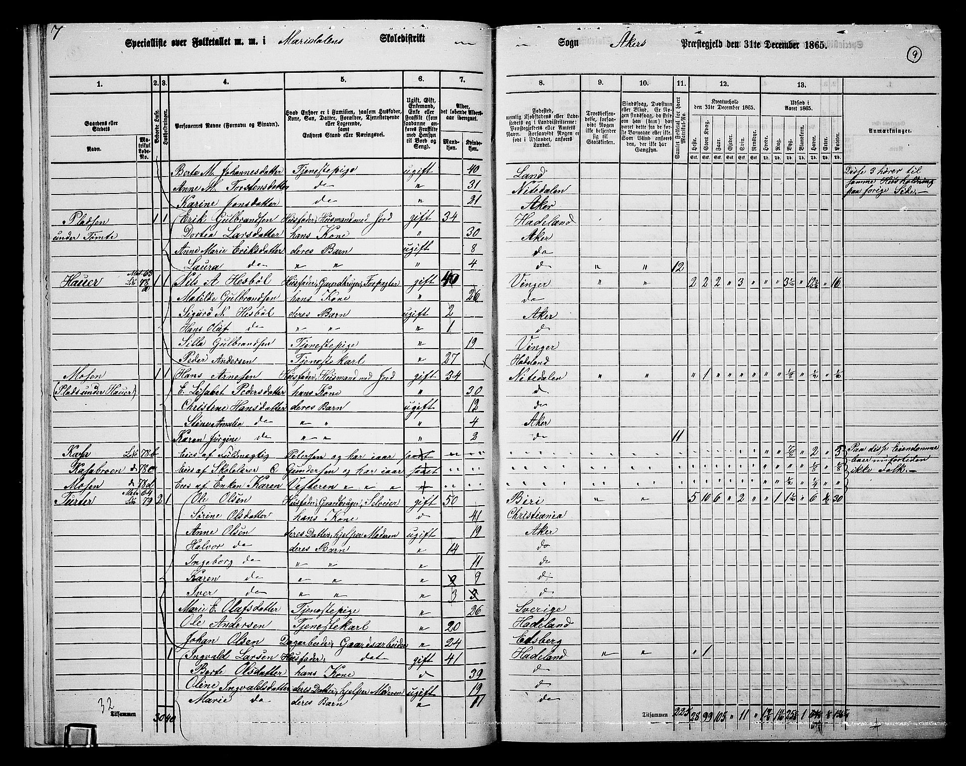 RA, 1865 census for Vestre Aker, 1865, p. 193