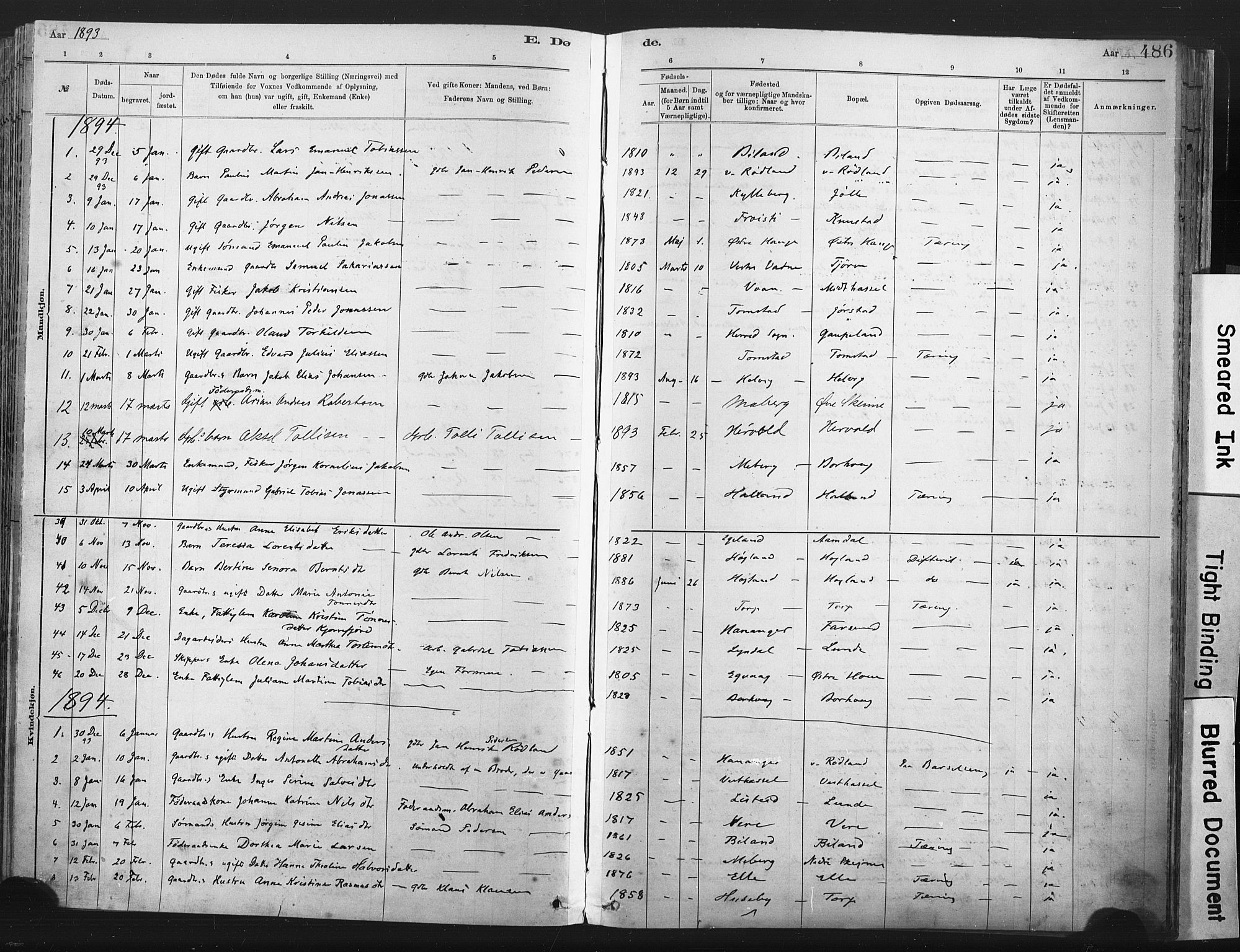 Lista sokneprestkontor, SAK/1111-0027/F/Fa/L0012: Parish register (official) no. A 12, 1879-1903, p. 486