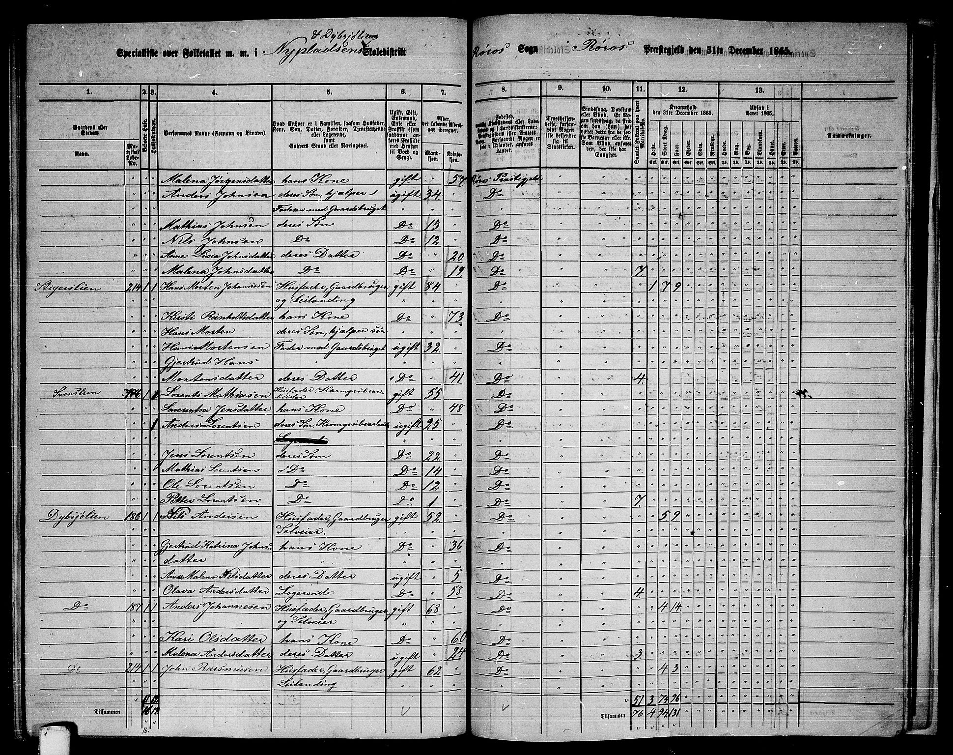 RA, 1865 census for Røros, 1865, p. 139