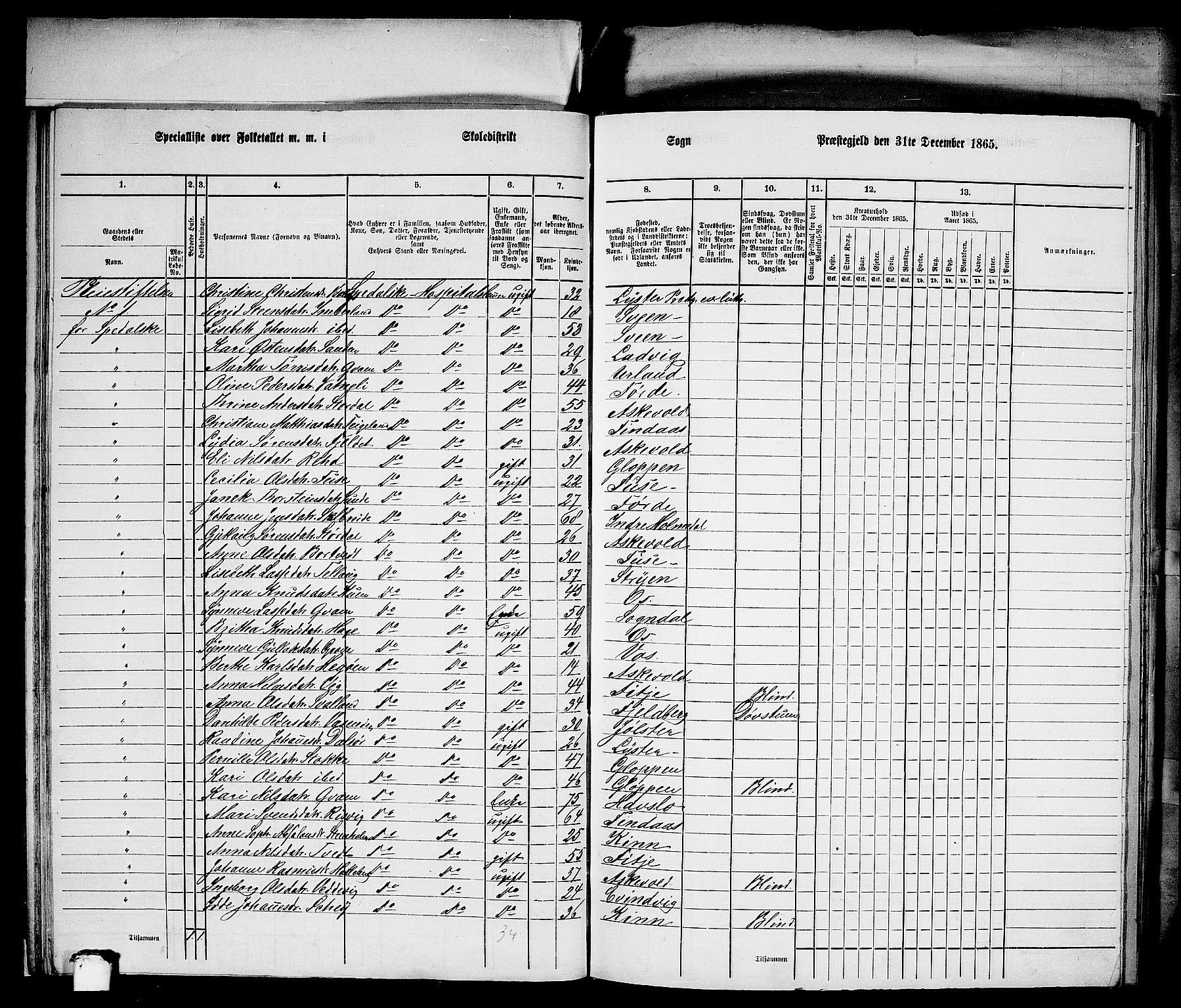 RA, 1865 census for Bergen Landdistrikt/Domkirken og Korskirken, 1865, p. 22