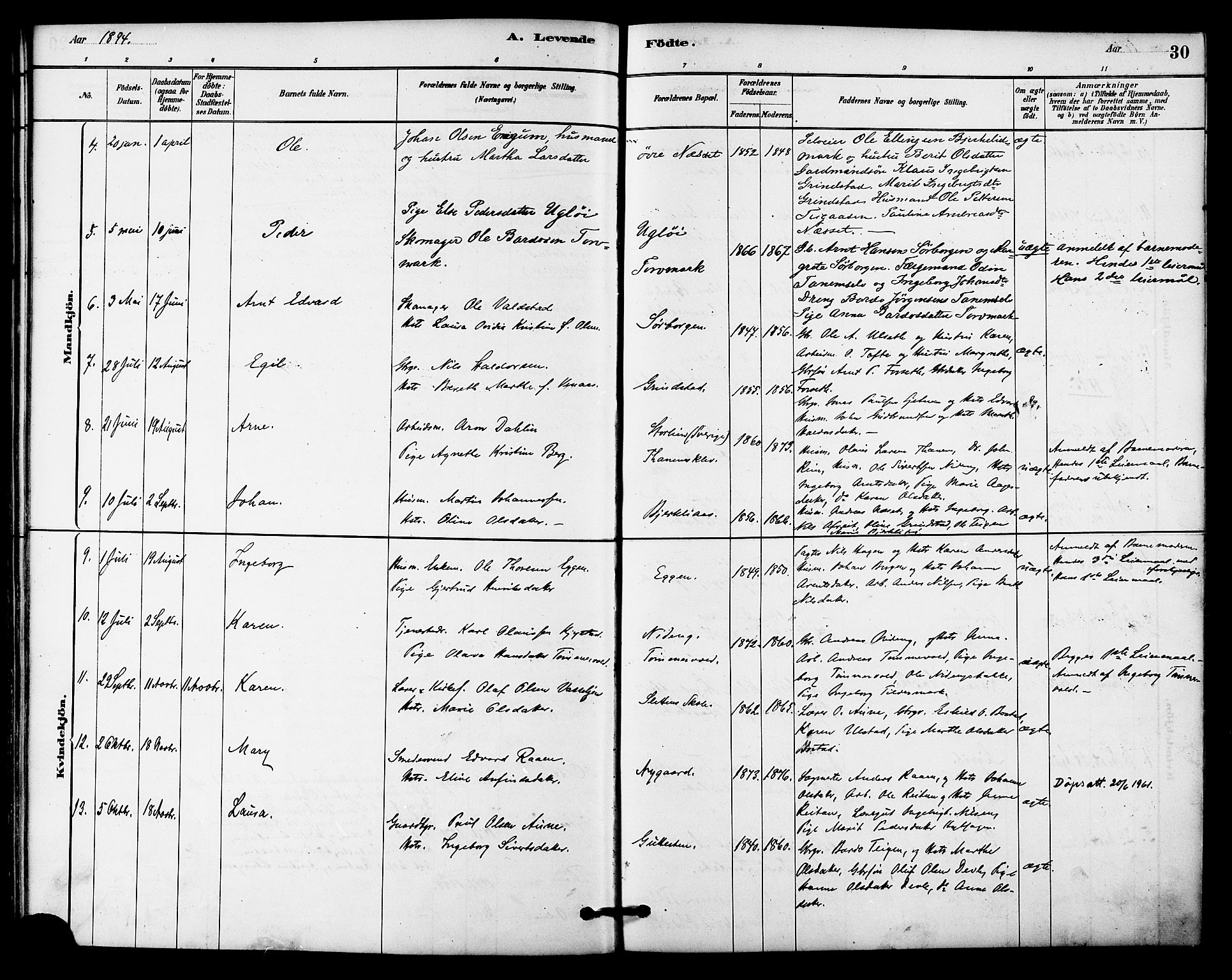 Ministerialprotokoller, klokkerbøker og fødselsregistre - Sør-Trøndelag, AV/SAT-A-1456/618/L0444: Parish register (official) no. 618A07, 1880-1898, p. 30