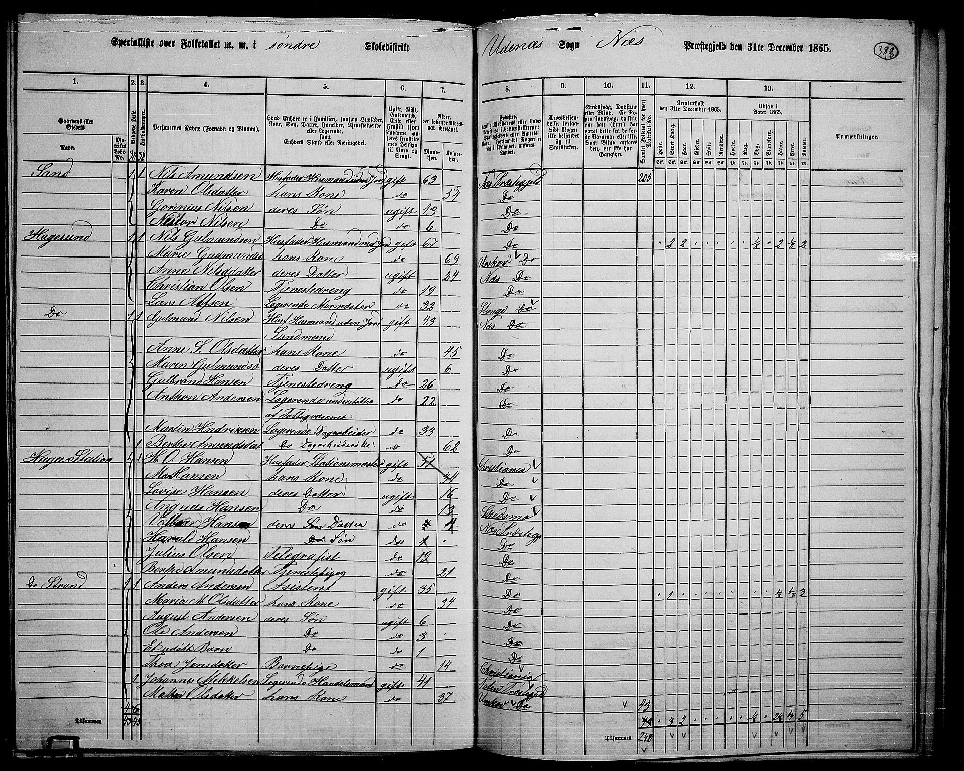 RA, 1865 census for Nes, 1865, p. 349