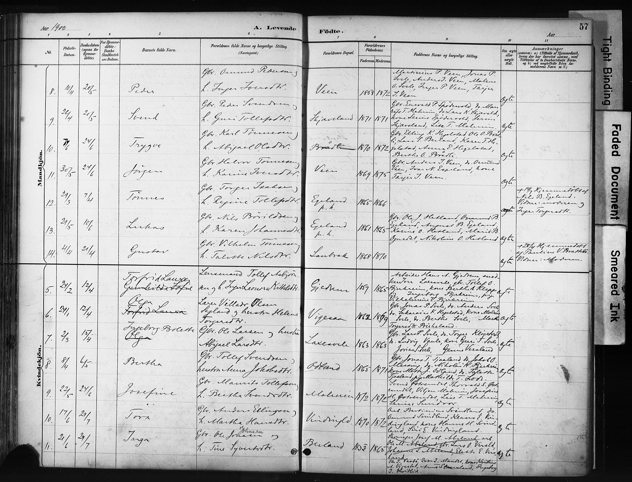 Helleland sokneprestkontor, AV/SAST-A-101810: Parish register (official) no. A 9, 1887-1908, p. 57