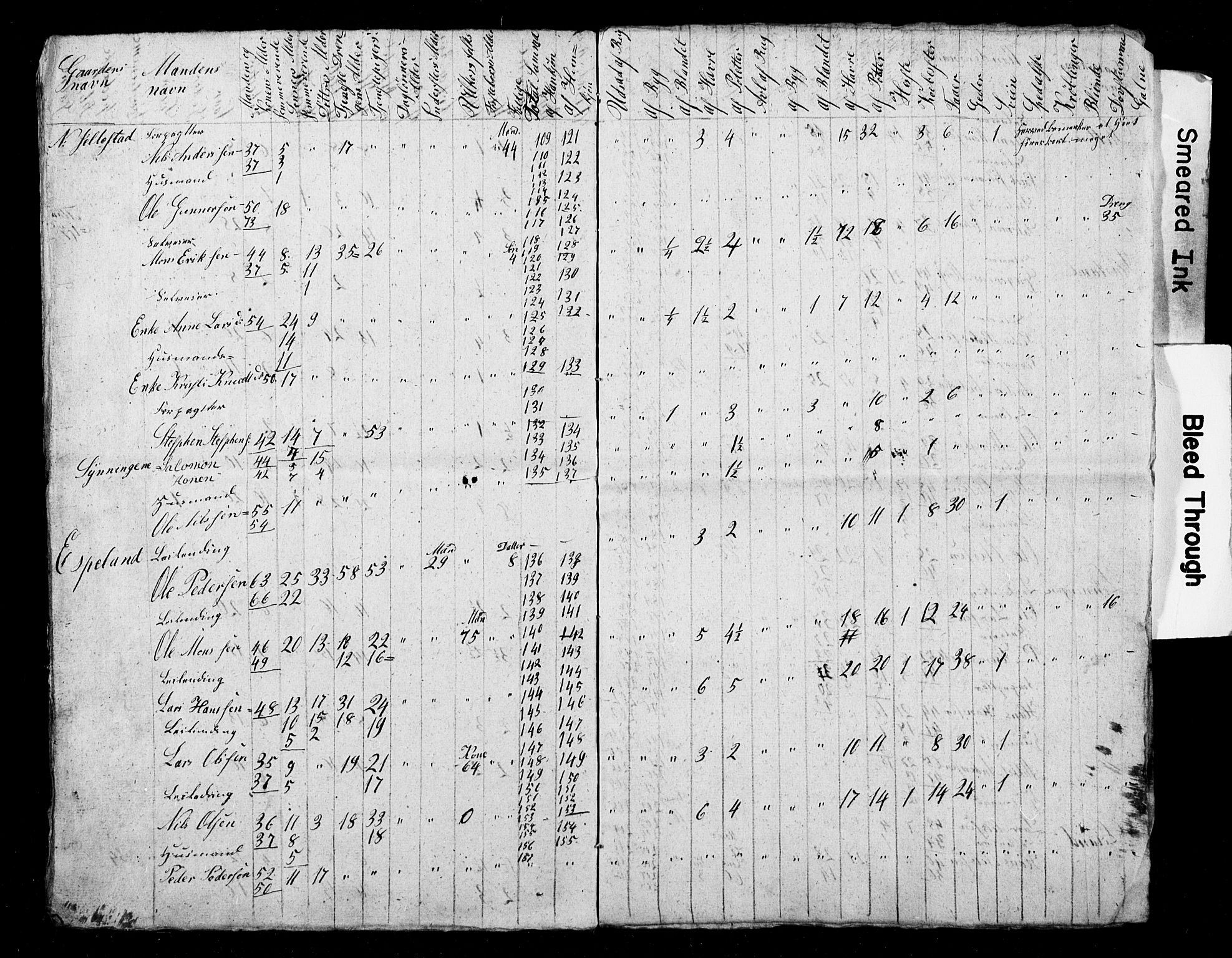 , Census 1845 for Fana, 1845, p. 18