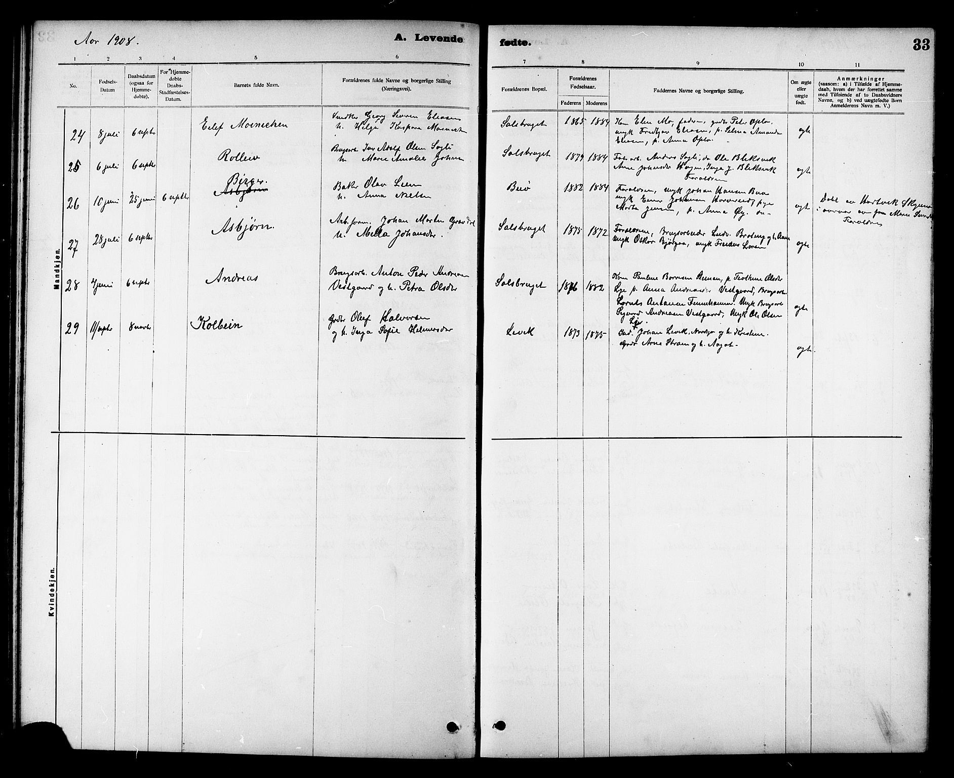 Ministerialprotokoller, klokkerbøker og fødselsregistre - Nord-Trøndelag, SAT/A-1458/780/L0652: Parish register (copy) no. 780C04, 1899-1911, p. 33
