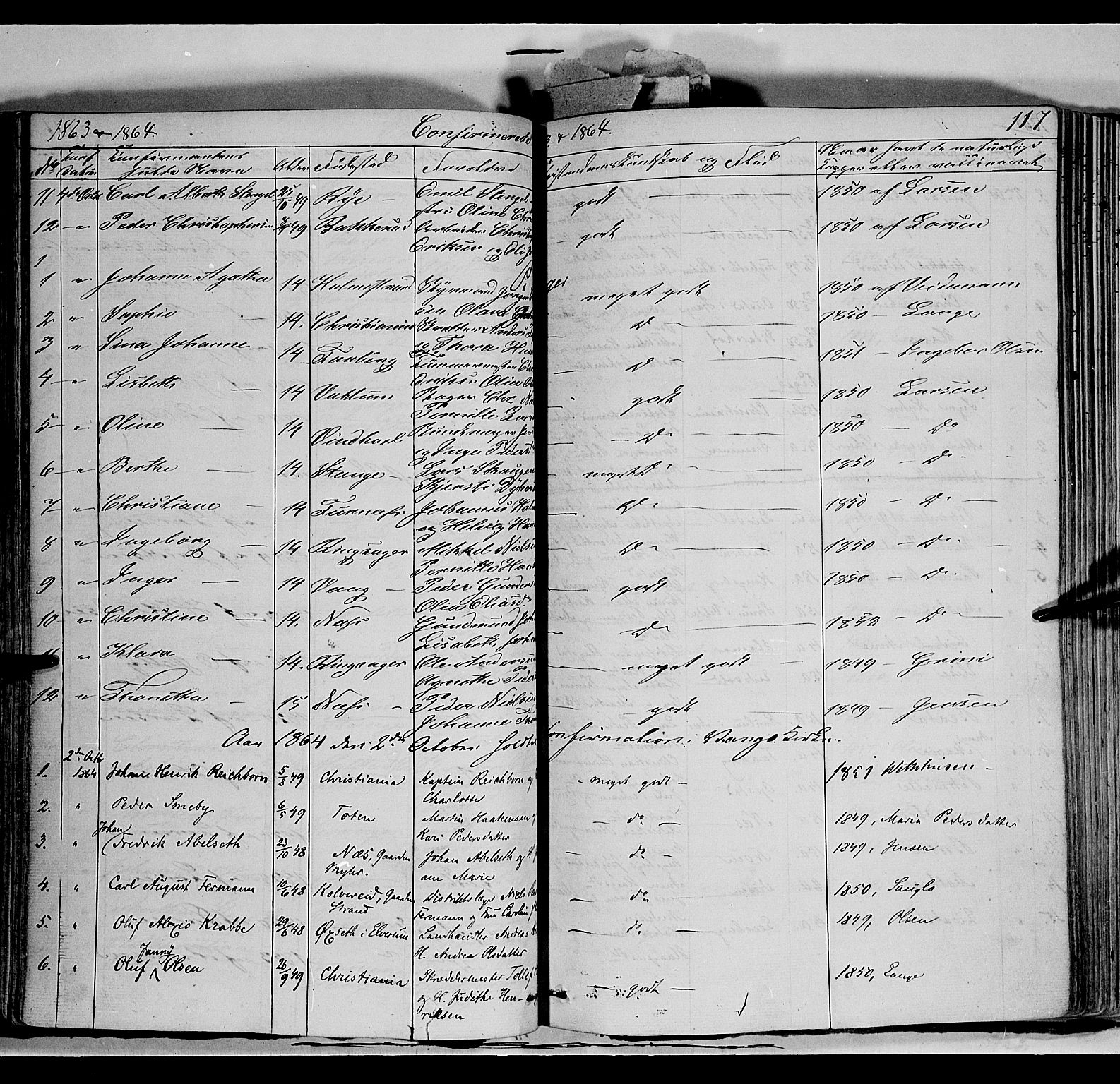Vang prestekontor, Hedmark, SAH/PREST-008/H/Ha/Haa/L0011: Parish register (official) no. 11, 1852-1877, p. 117