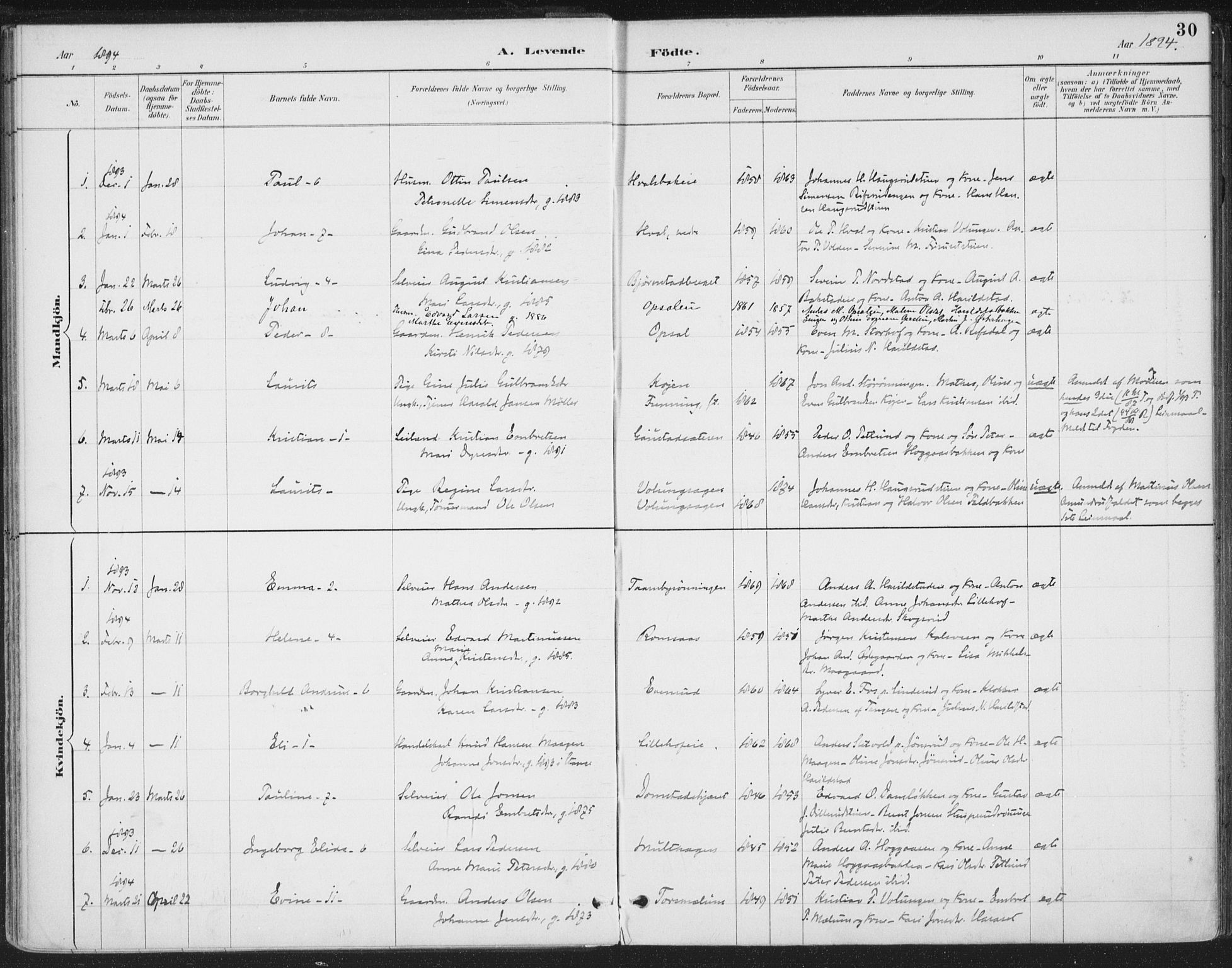 Romedal prestekontor, SAH/PREST-004/K/L0008: Parish register (official) no. 8, 1887-1905, p. 30