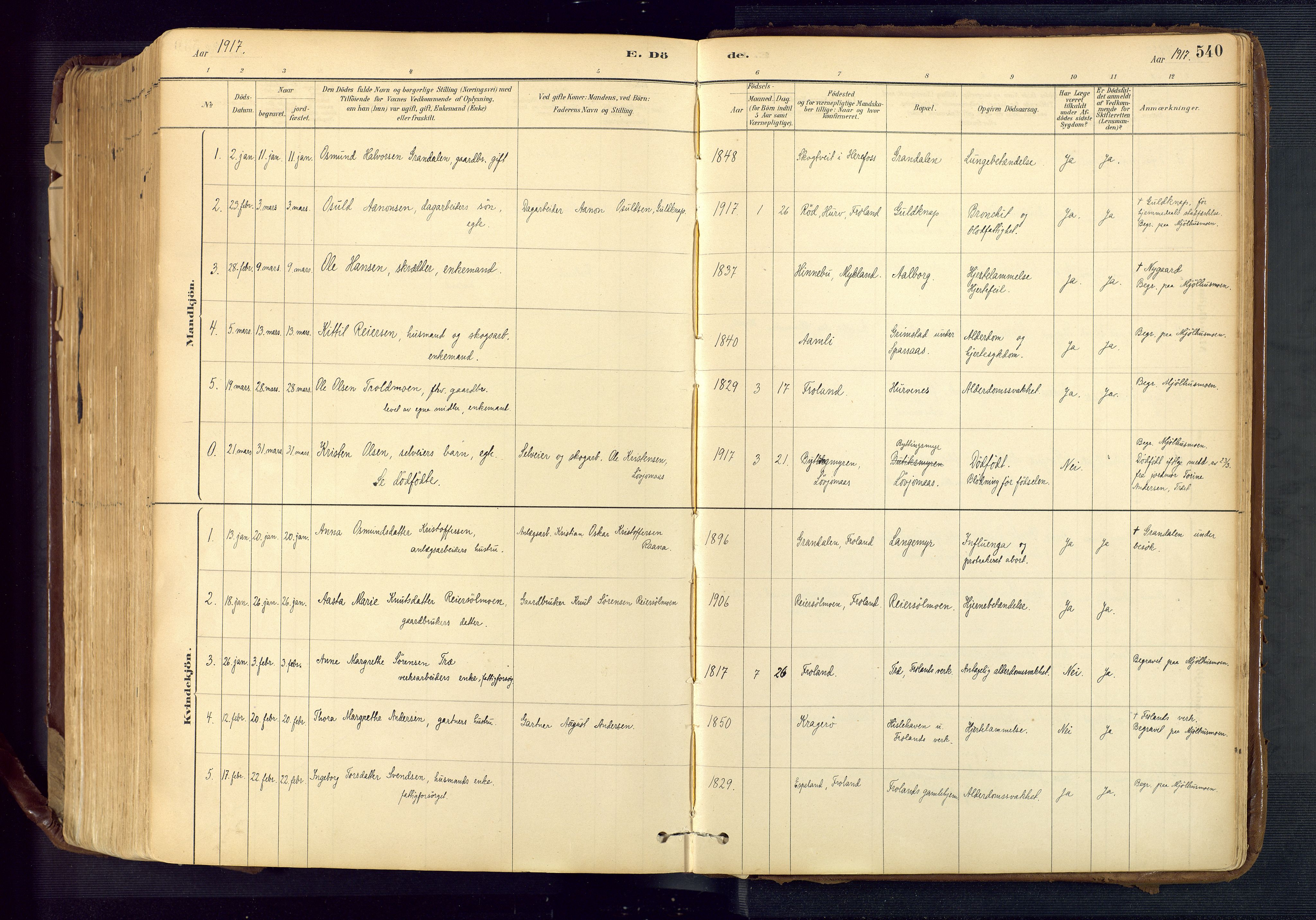 Froland sokneprestkontor, SAK/1111-0013/F/Fa/L0005: Parish register (official) no. A 5, 1882-1921, p. 540