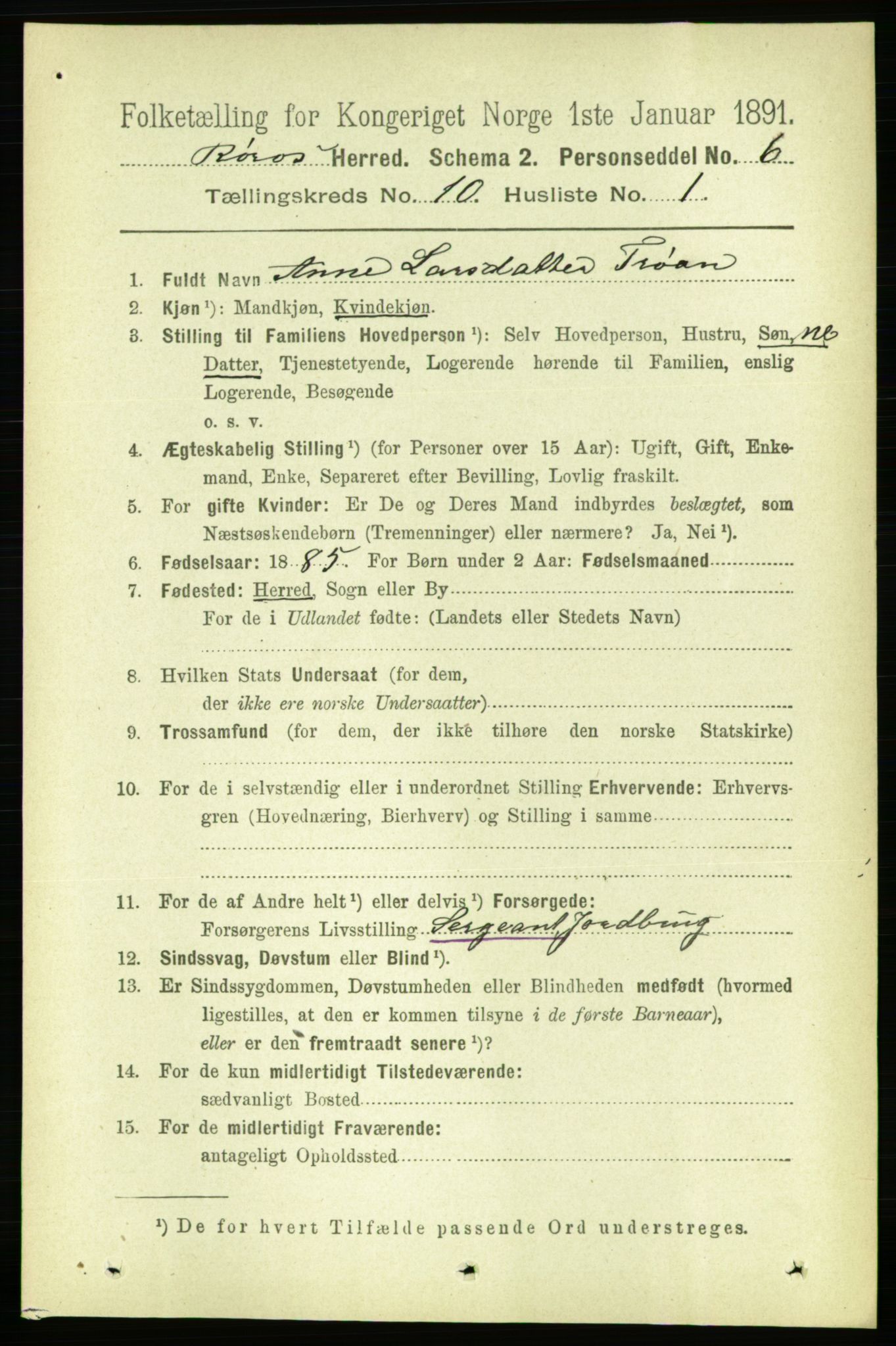 RA, 1891 census for 1640 Røros, 1891, p. 2023