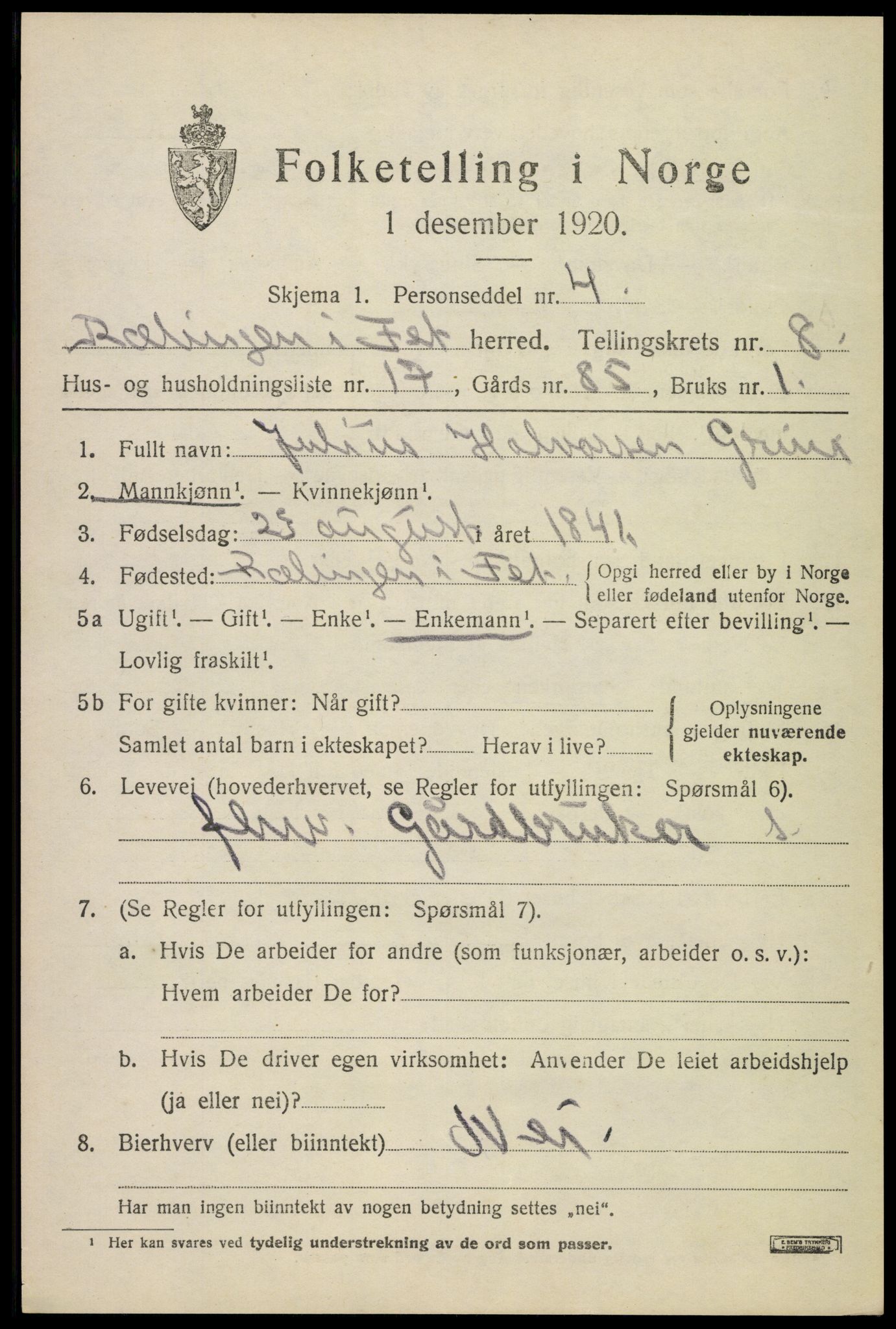 SAO, 1920 census for Fet, 1920, p. 8982