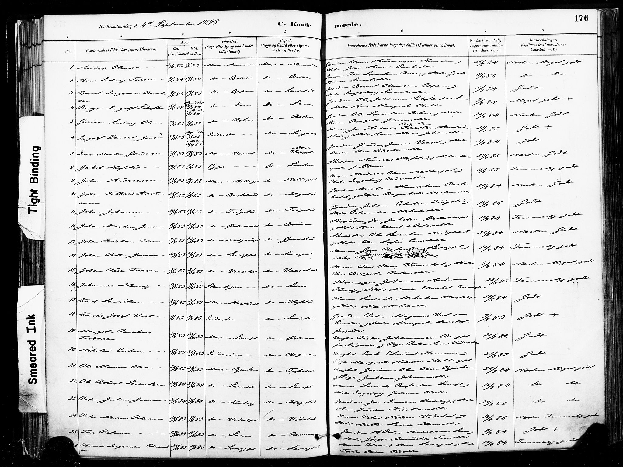 Ministerialprotokoller, klokkerbøker og fødselsregistre - Nord-Trøndelag, SAT/A-1458/735/L0351: Parish register (official) no. 735A10, 1884-1908, p. 176