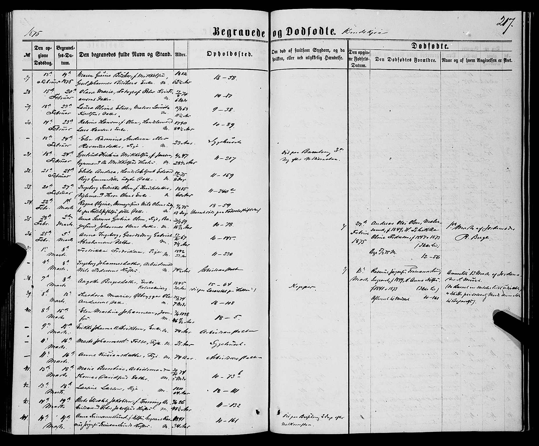 Domkirken sokneprestembete, AV/SAB-A-74801/H/Haa/L0042: Parish register (official) no. E 3, 1863-1876, p. 217