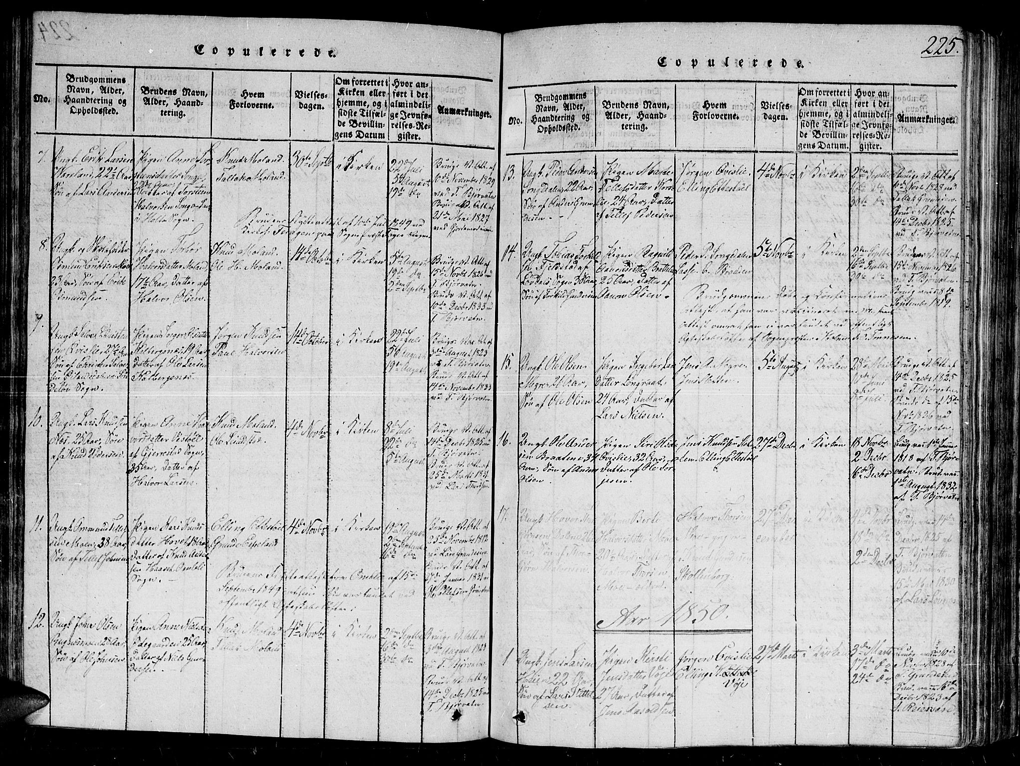 Gjerstad sokneprestkontor, SAK/1111-0014/F/Fb/Fbb/L0001: Parish register (copy) no. B 1, 1813-1863, p. 225