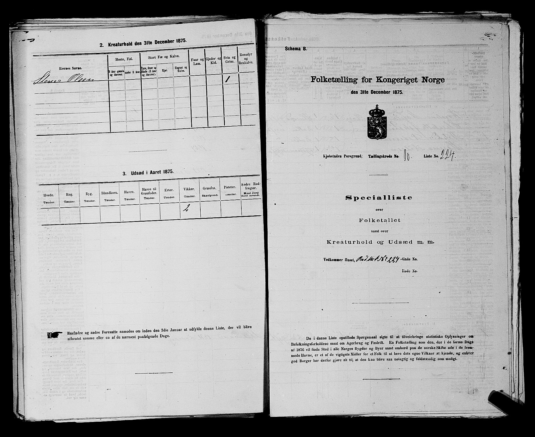 SAKO, 1875 census for 0805P Porsgrunn, 1875, p. 516