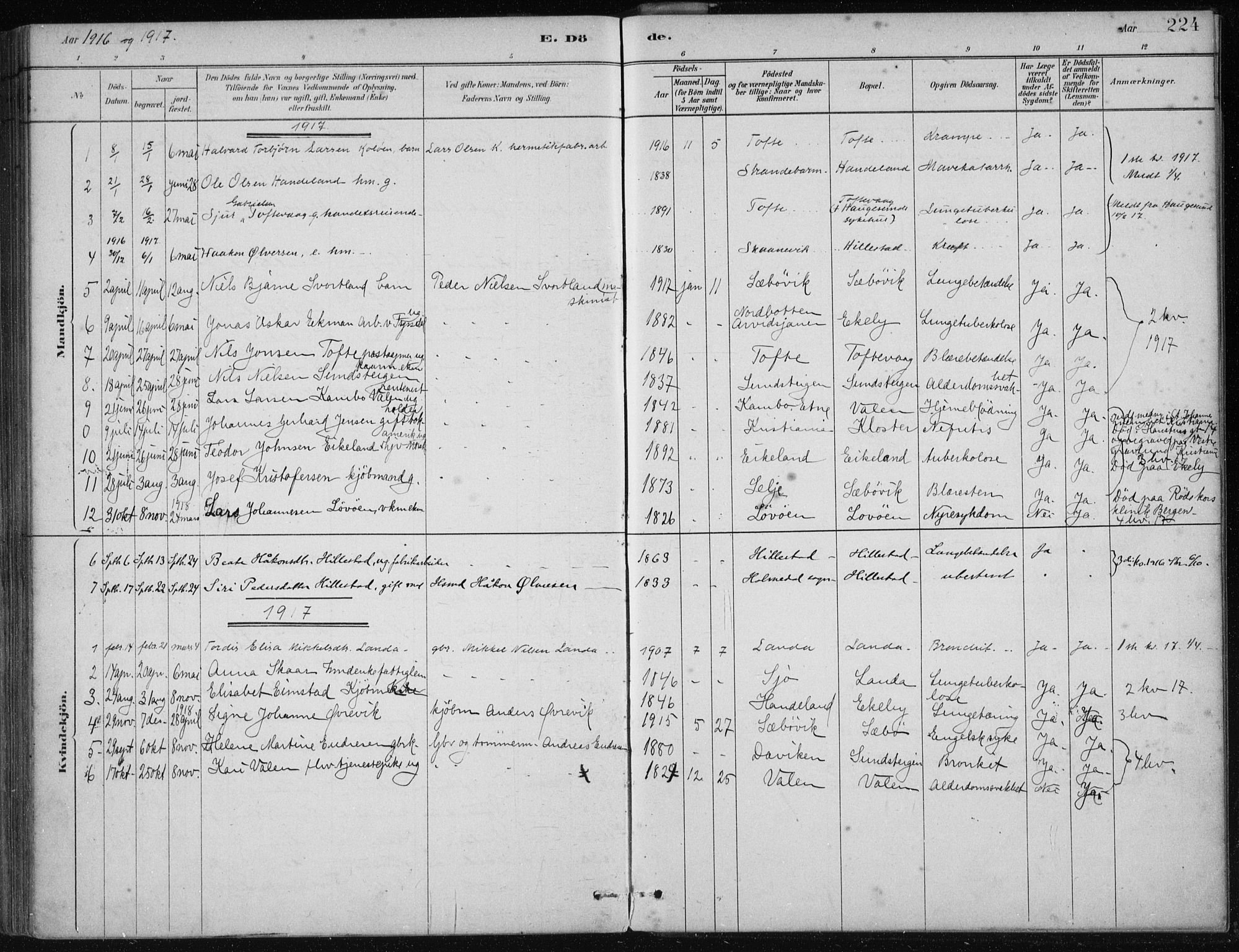 Fjelberg sokneprestembete, SAB/A-75201/H/Haa: Parish register (official) no. C  1, 1879-1918, p. 224