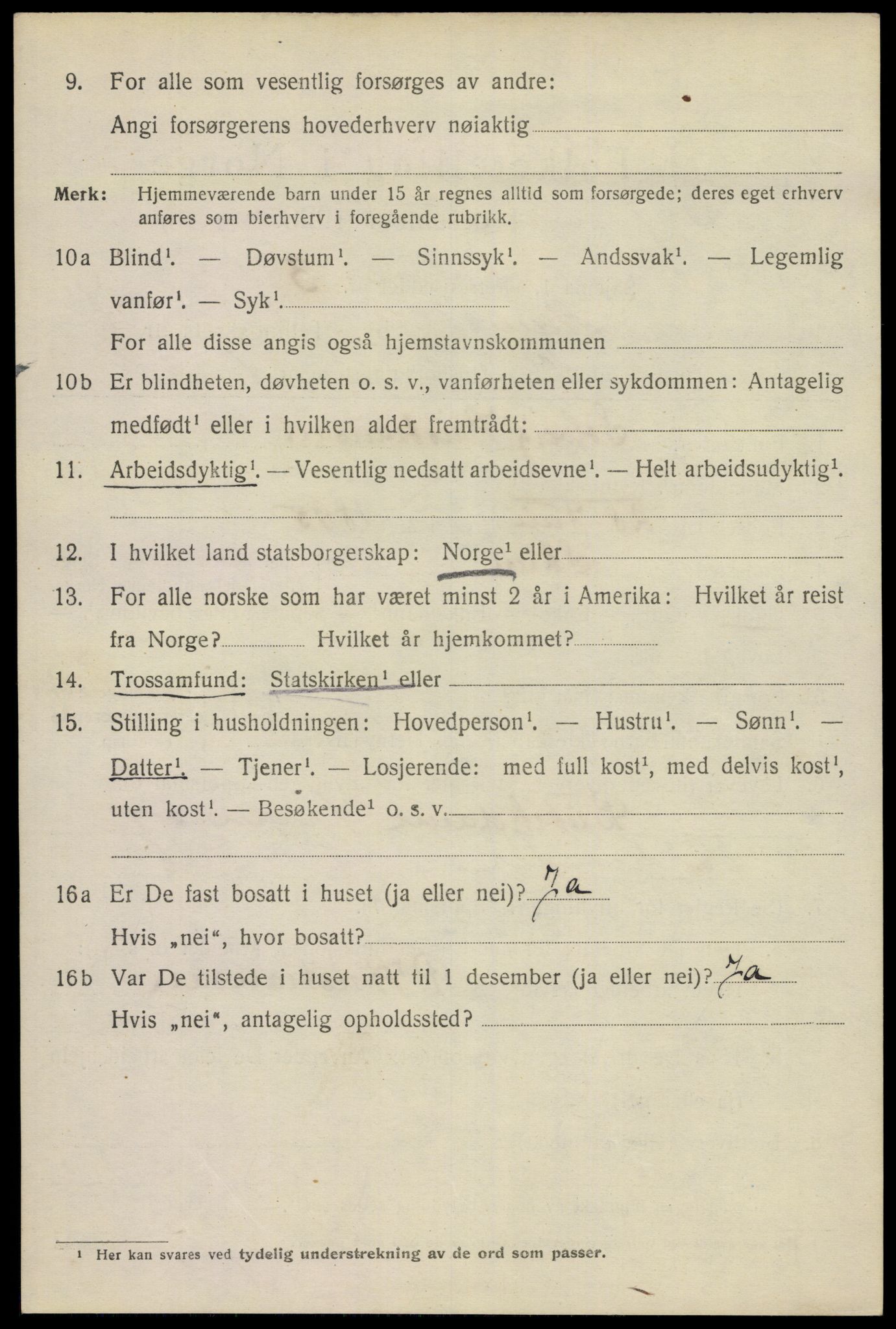 SAKO, 1920 census for Skien, 1920, p. 26621